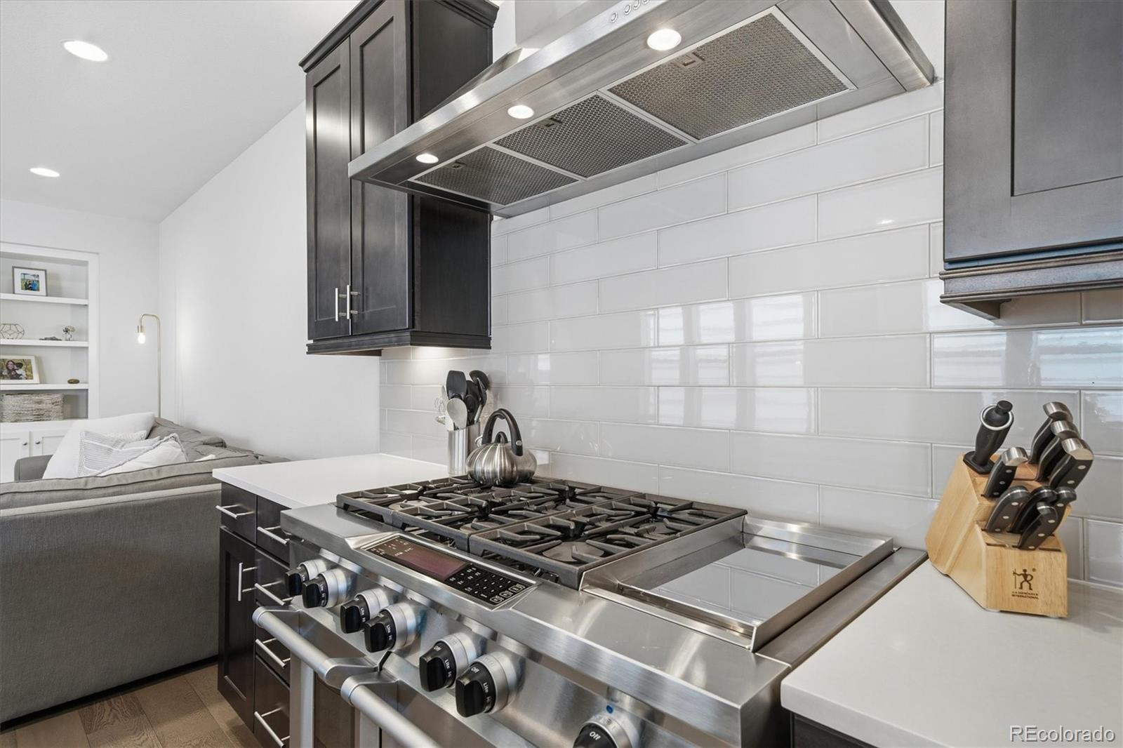 MLS Image #13 for 1164 s lincoln street,denver, Colorado