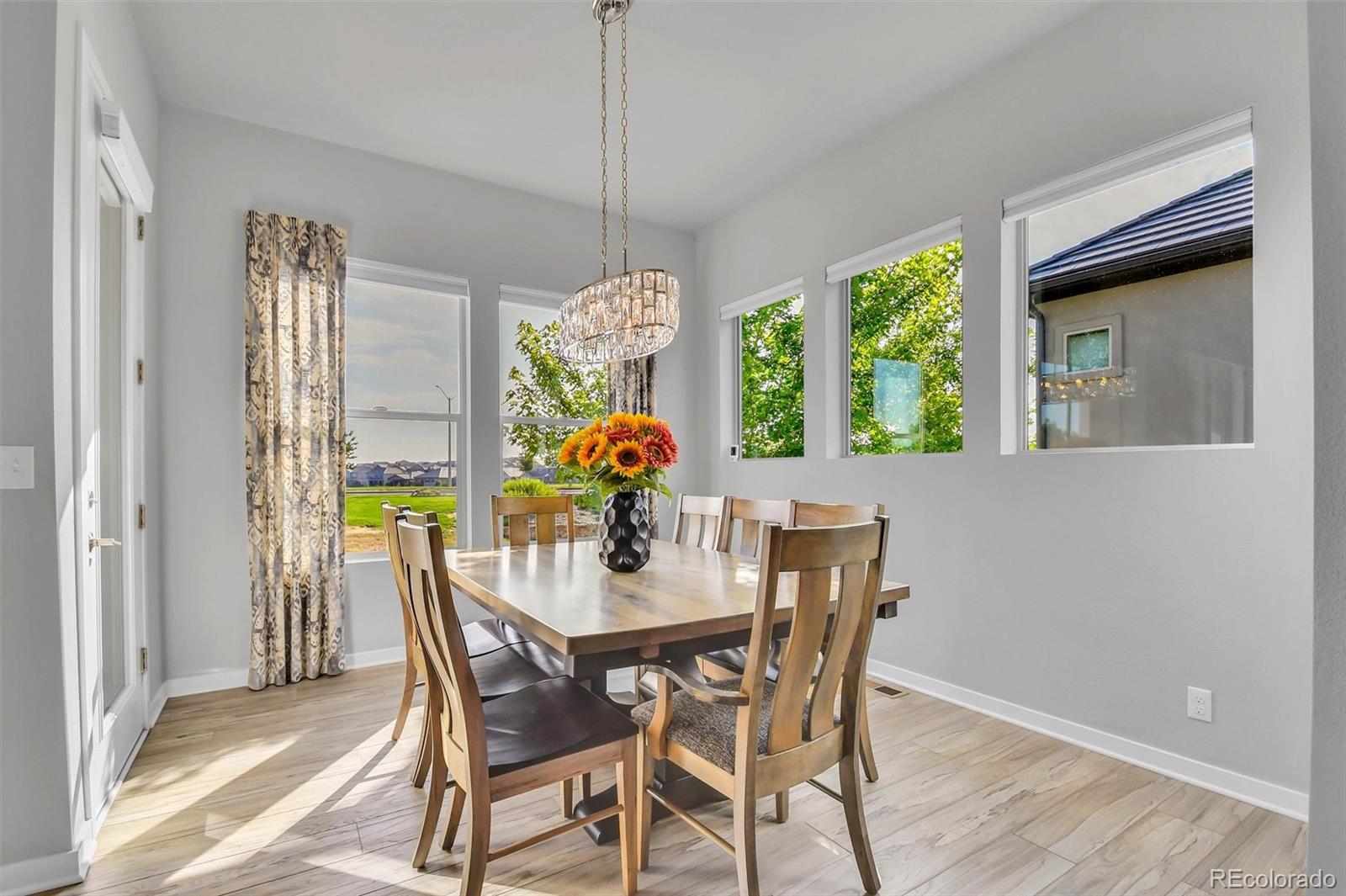 MLS Image #10 for 16080  atlantic peak way,broomfield, Colorado
