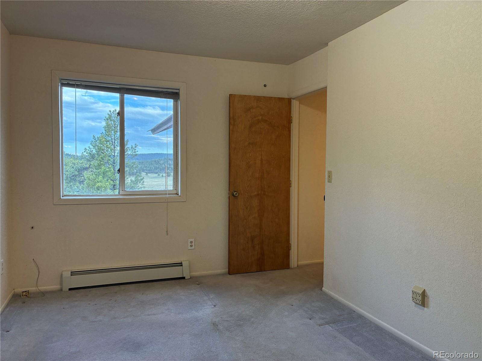 MLS Image #14 for 6951  county rd 71 ,guffey, Colorado
