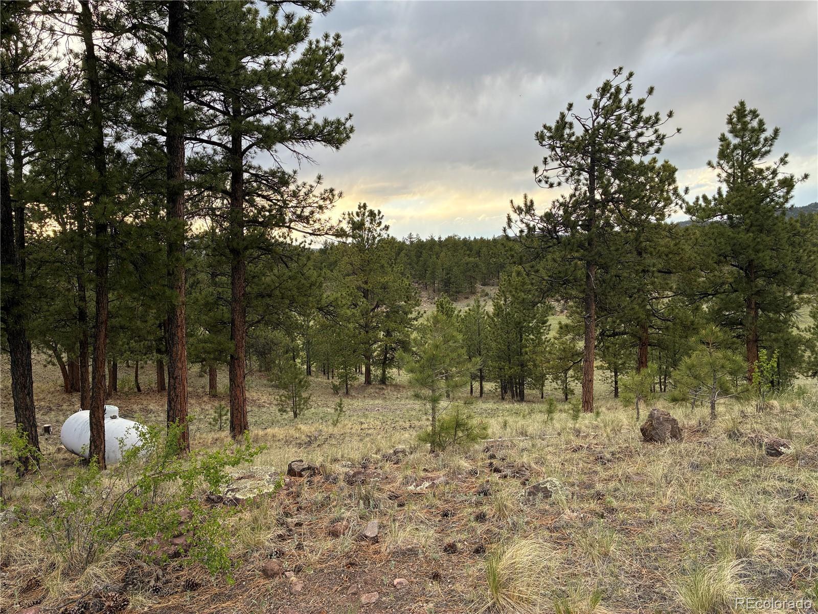 MLS Image #23 for 6951  county rd 71 ,guffey, Colorado