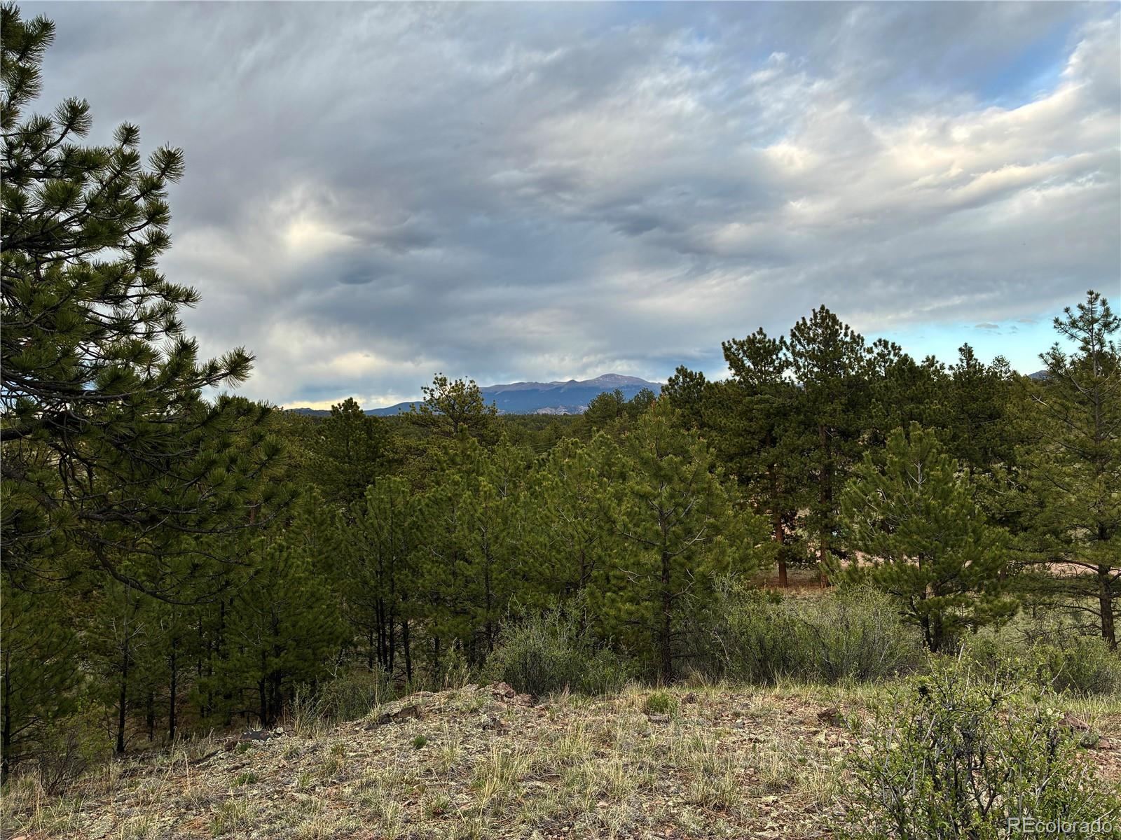 MLS Image #24 for 6951  county rd 71 ,guffey, Colorado
