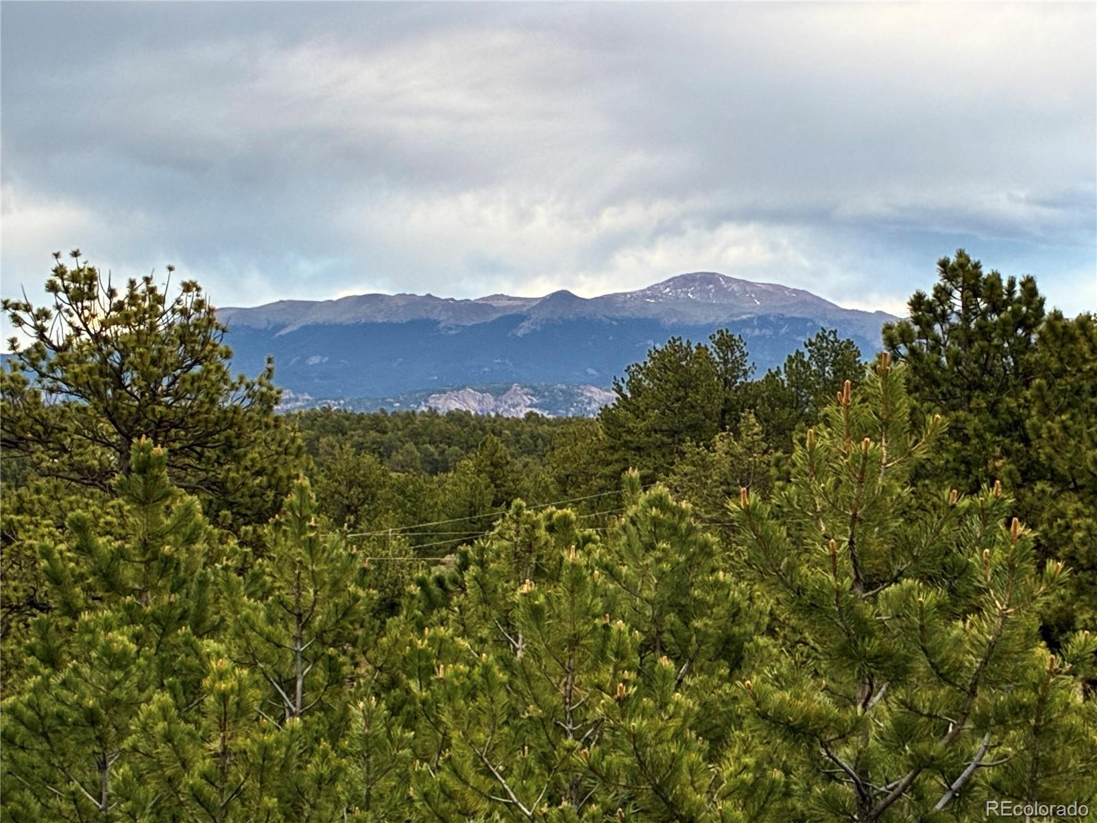 MLS Image #25 for 6951  county rd 71 ,guffey, Colorado