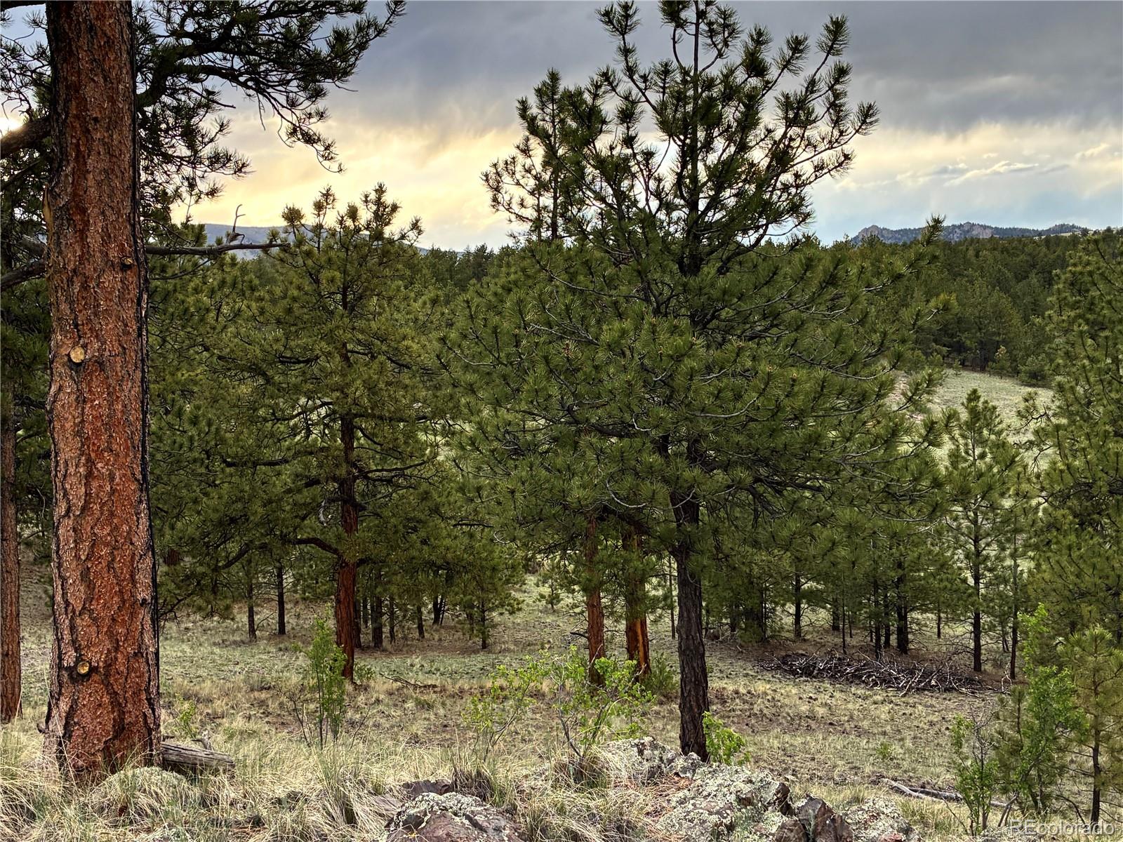 MLS Image #26 for 6951  county rd 71 ,guffey, Colorado