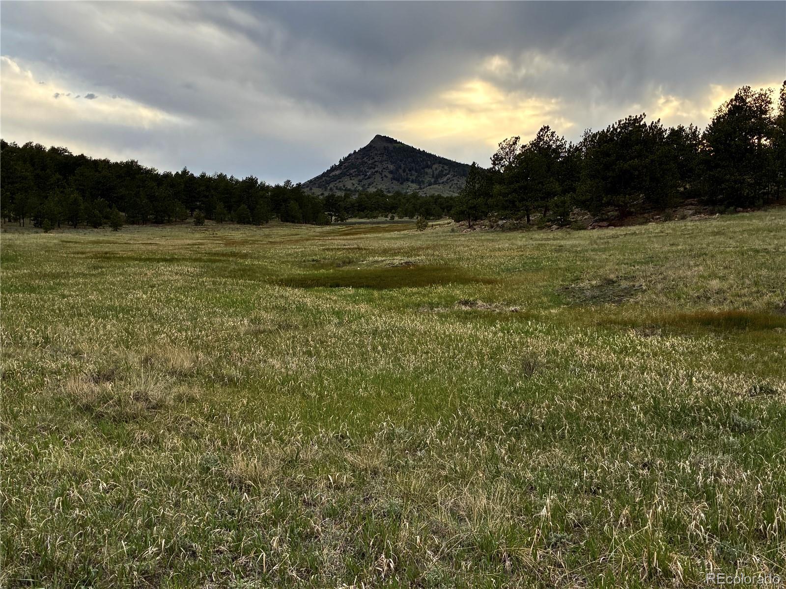 MLS Image #27 for 6951  county rd 71 ,guffey, Colorado