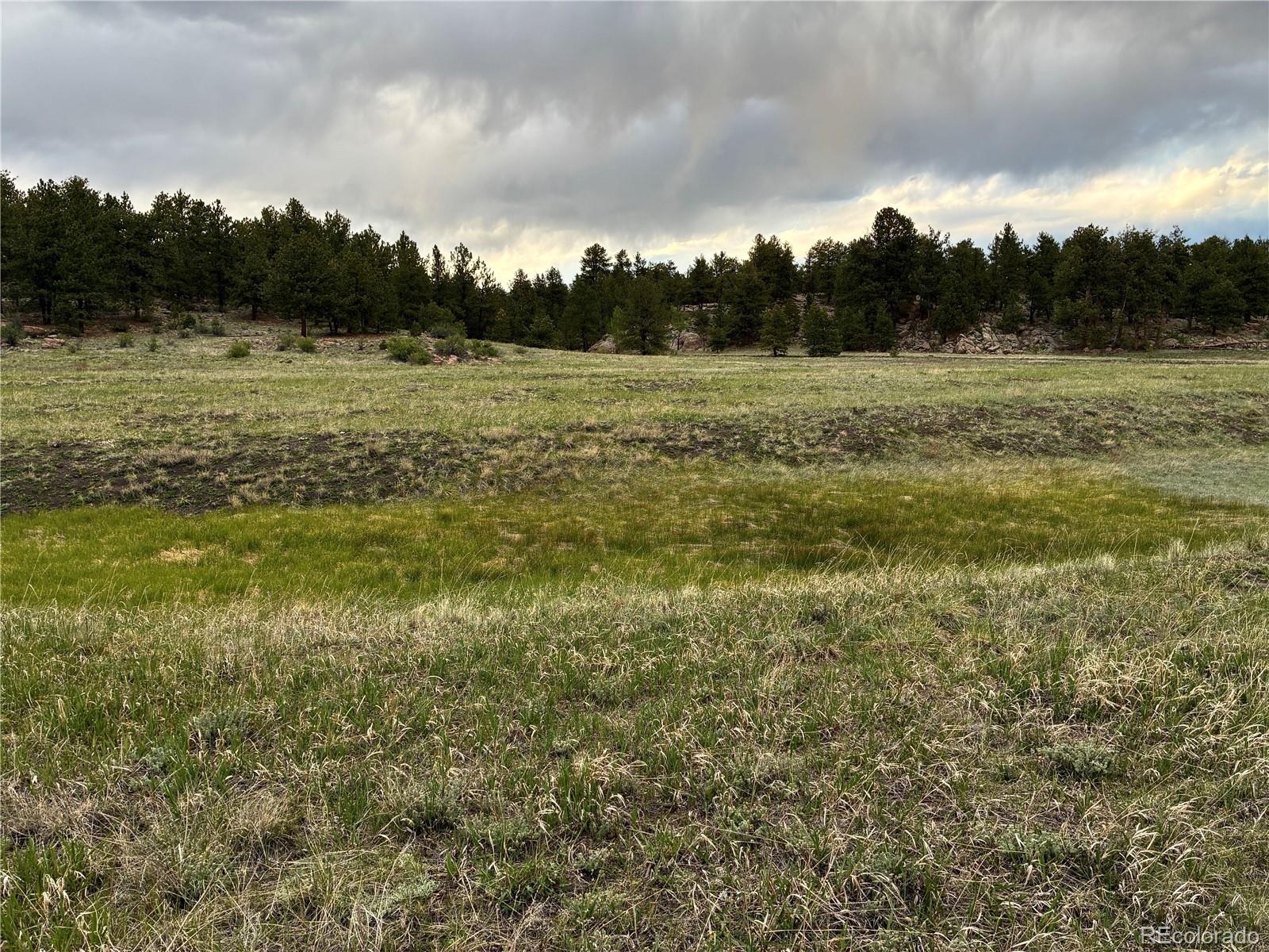 MLS Image #28 for 6951  county rd 71 ,guffey, Colorado