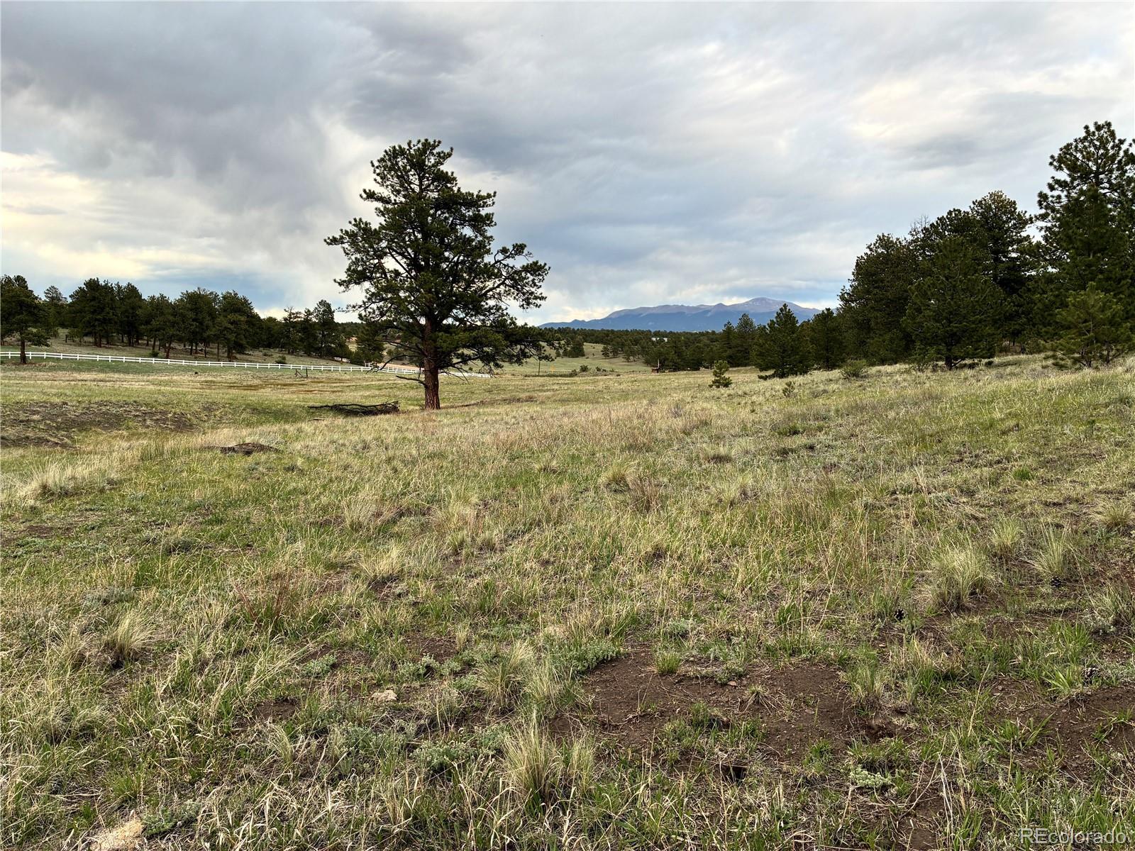 MLS Image #29 for 6951  county rd 71 ,guffey, Colorado