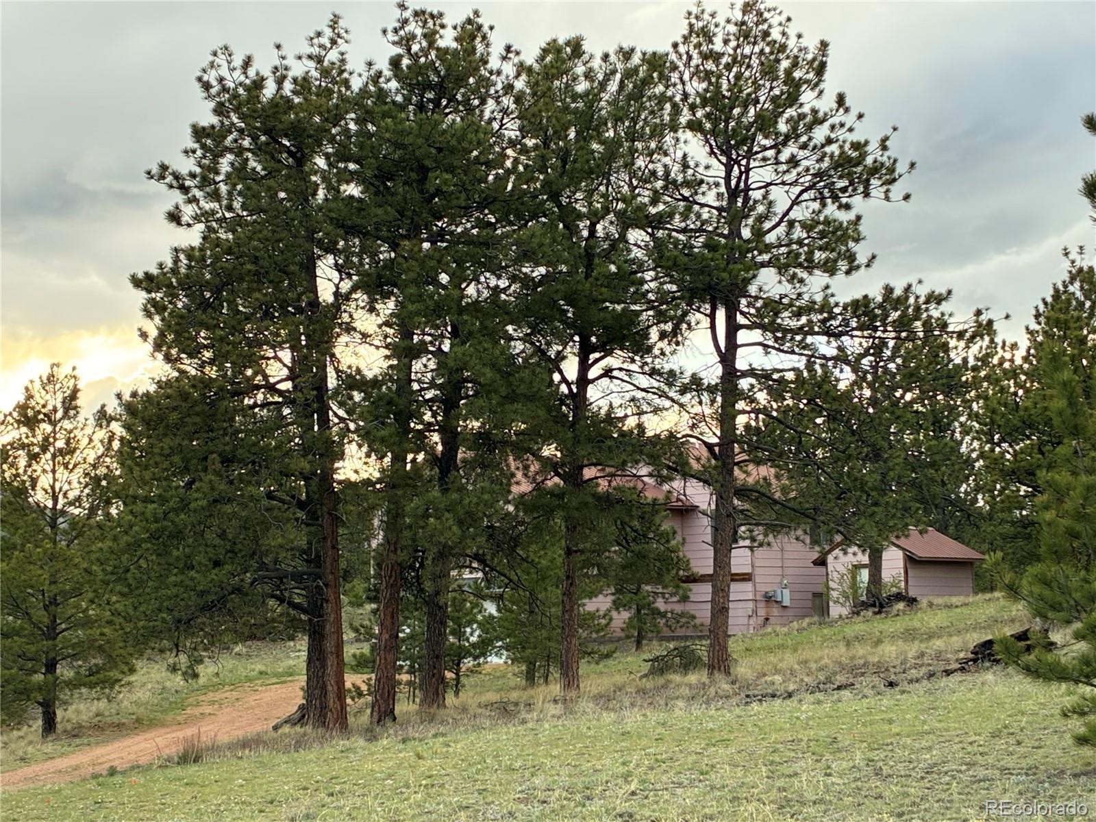 MLS Image #33 for 6951  county rd 71 ,guffey, Colorado