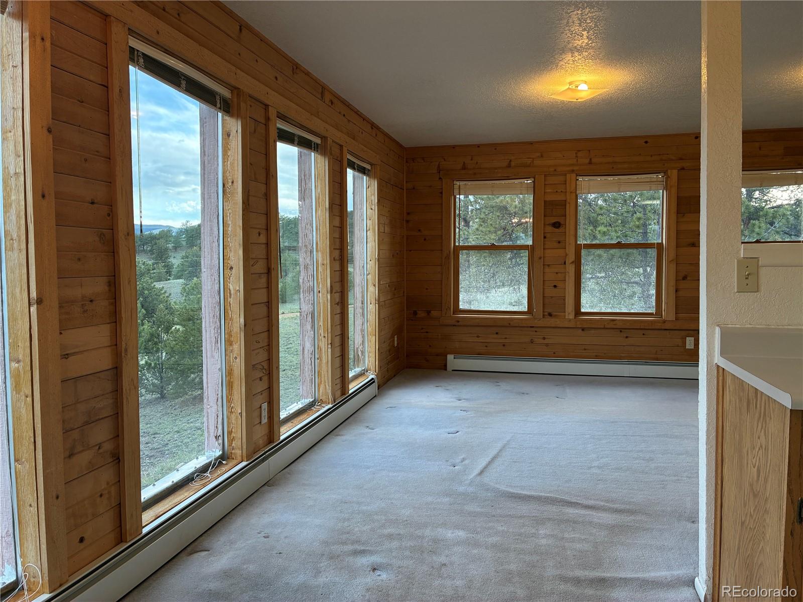 MLS Image #6 for 6951  county rd 71 ,guffey, Colorado