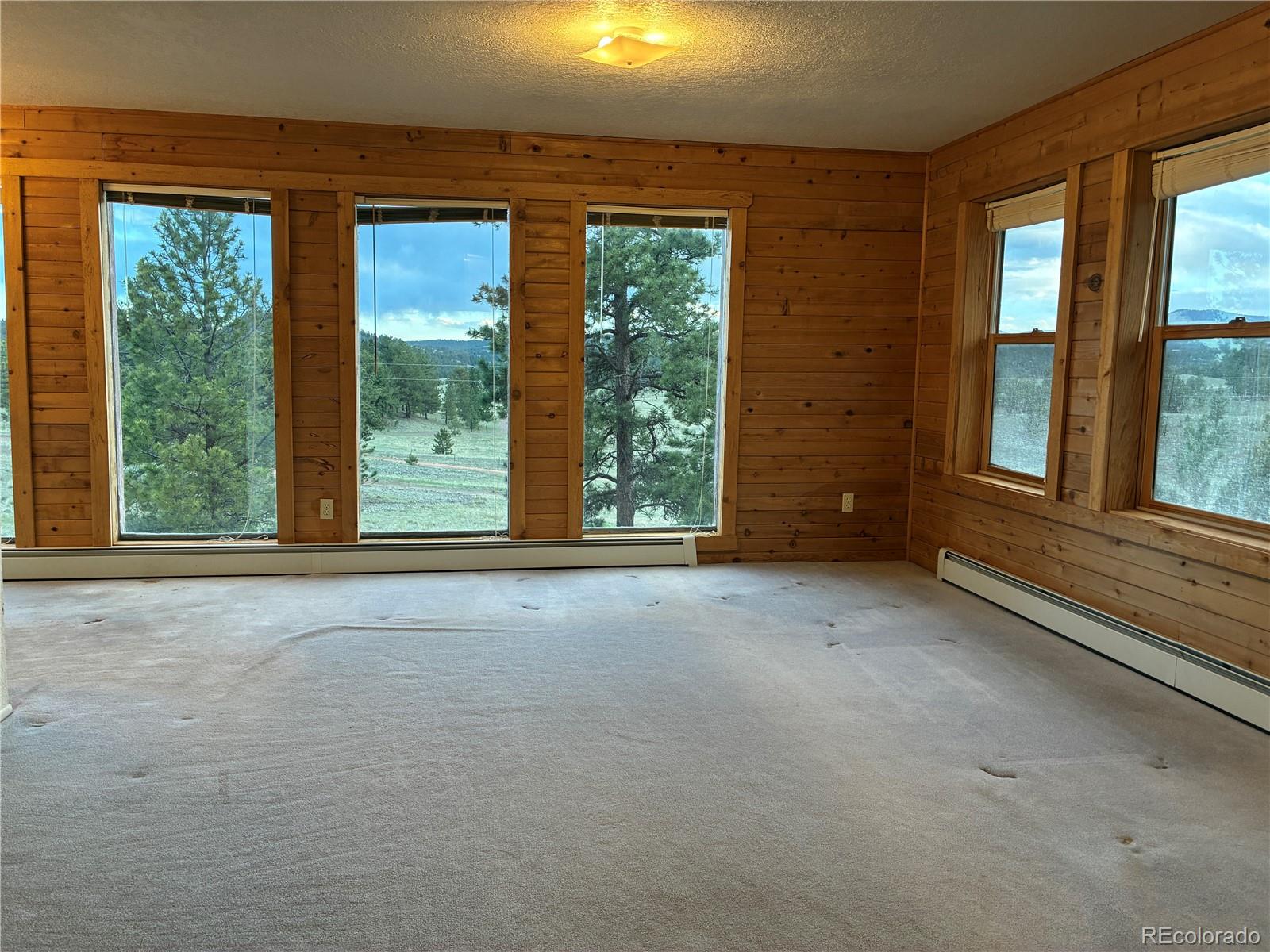 MLS Image #7 for 6951  county rd 71 ,guffey, Colorado