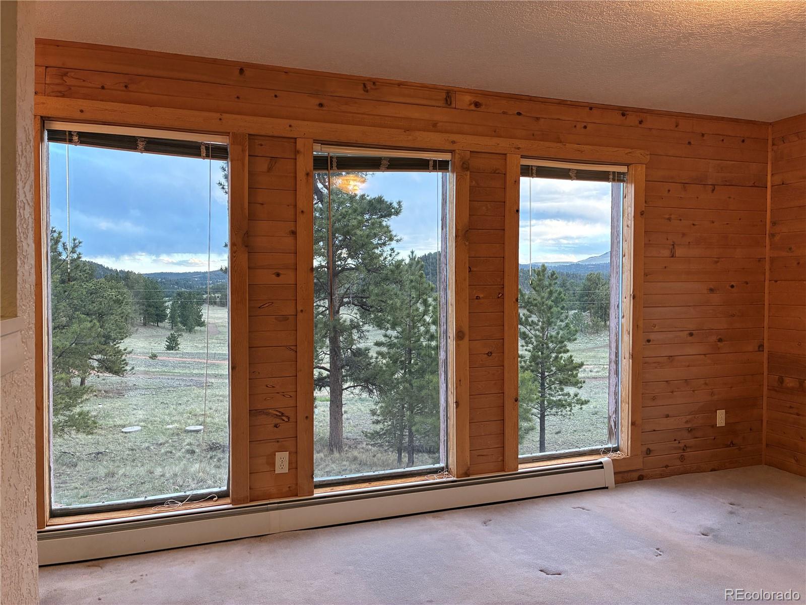 MLS Image #8 for 6951  county rd 71 ,guffey, Colorado