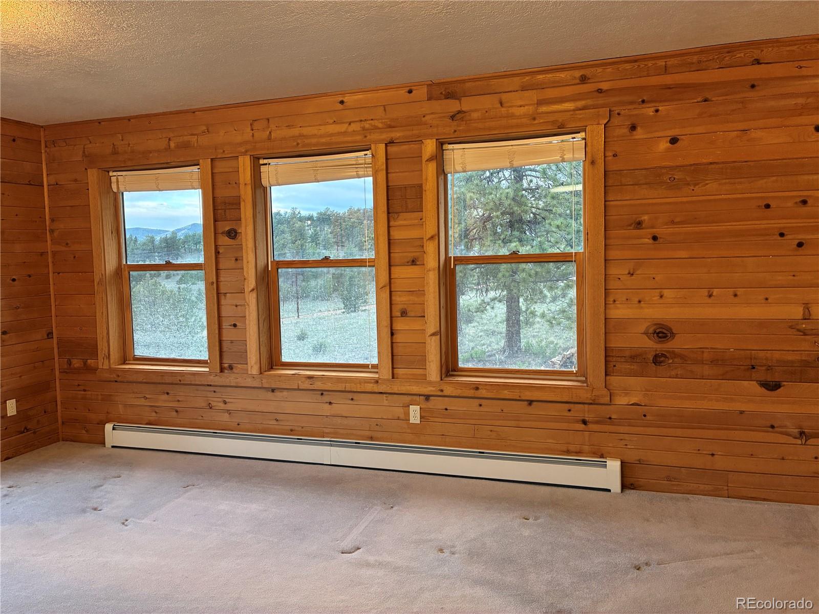 MLS Image #9 for 6951  county rd 71 ,guffey, Colorado