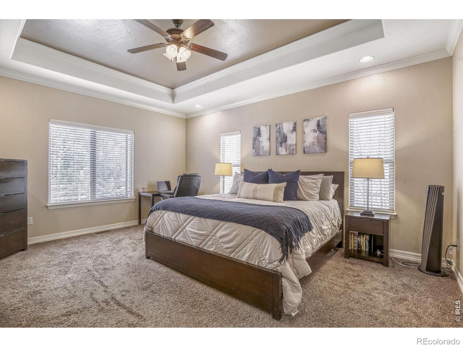 MLS Image #12 for 7992  saint street,frederick, Colorado