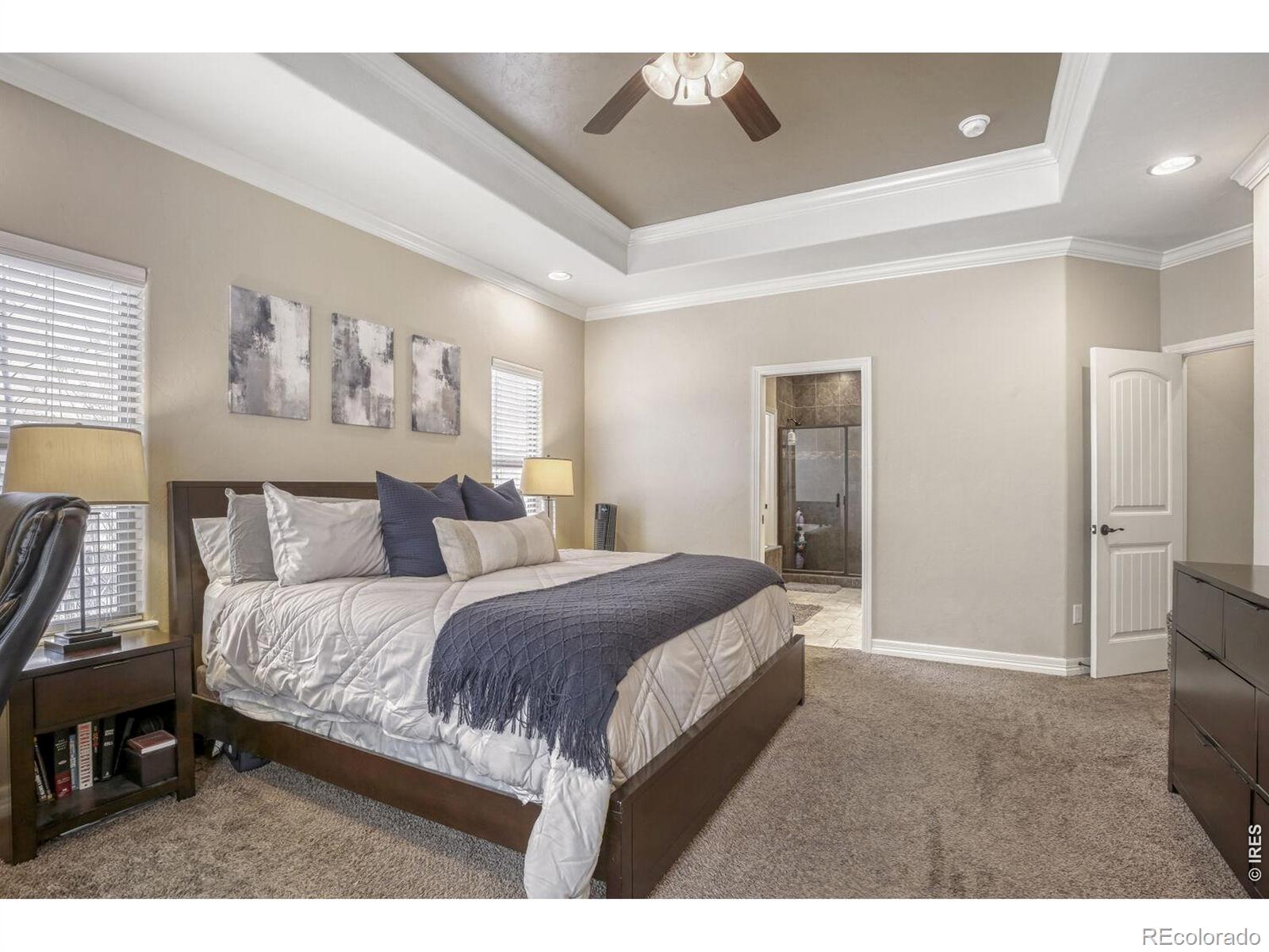 MLS Image #13 for 7992  saint street,frederick, Colorado