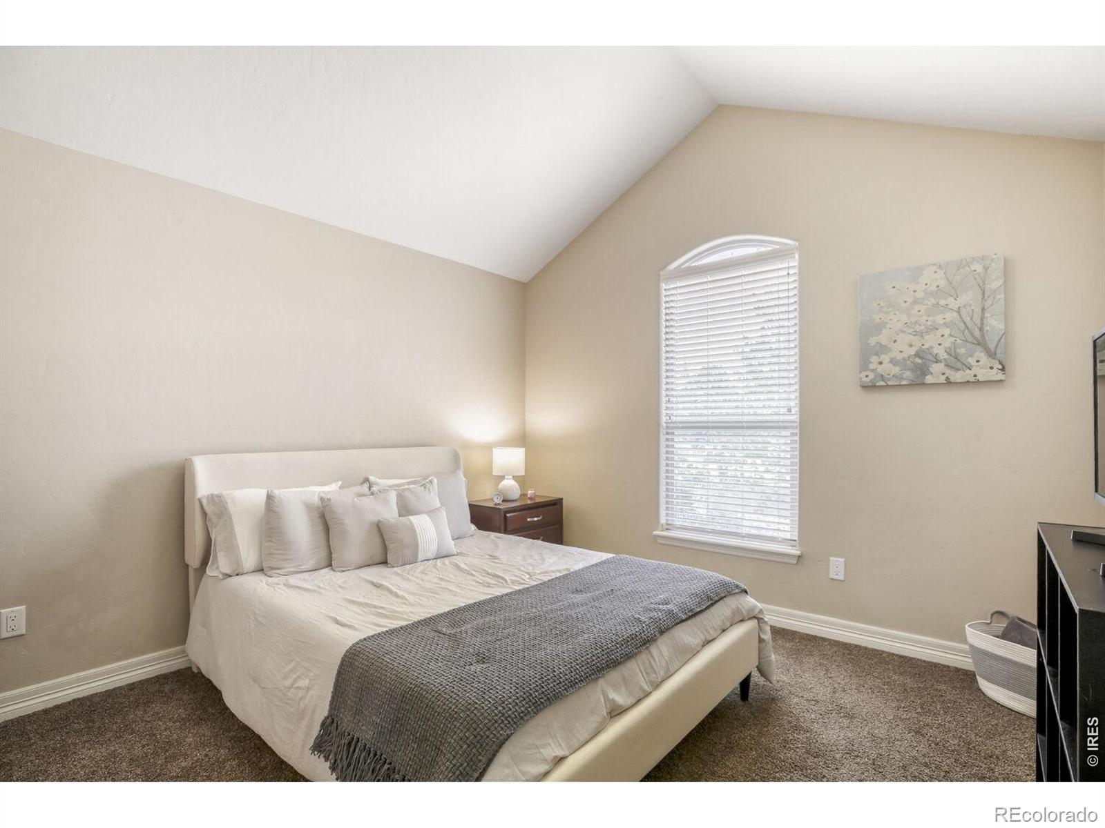 MLS Image #15 for 7992  saint street,frederick, Colorado