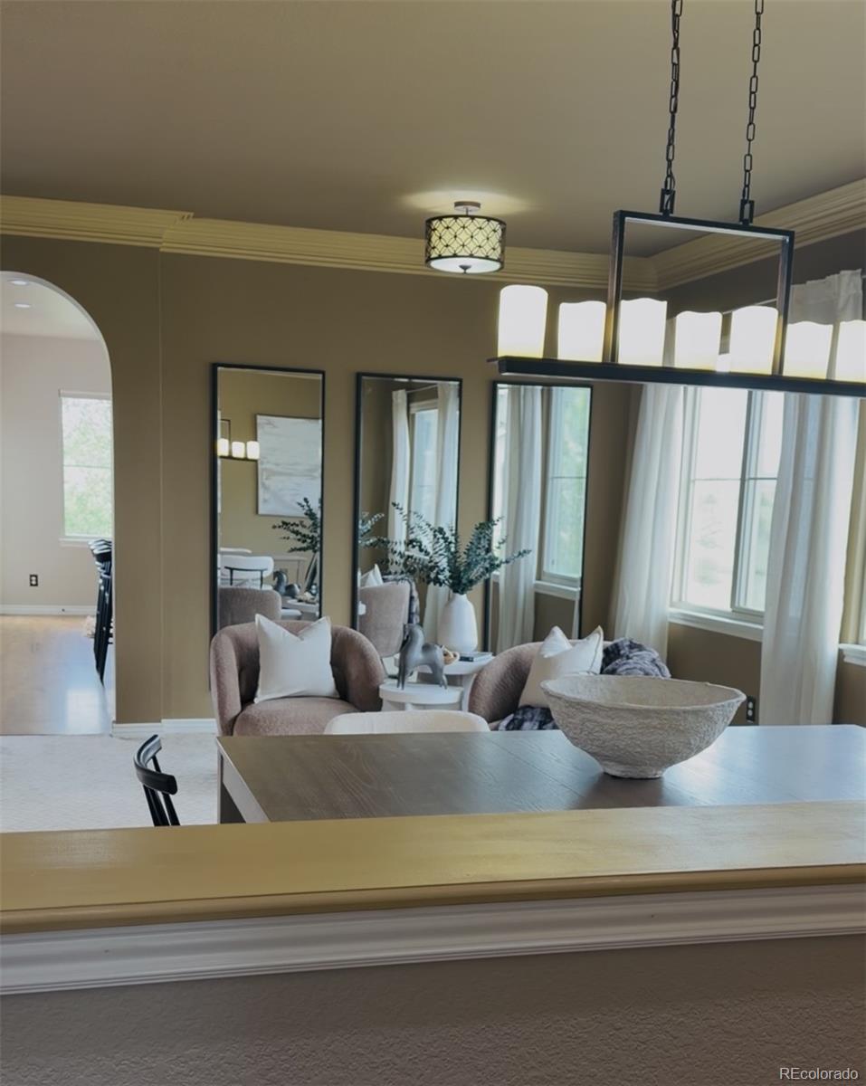 MLS Image #46 for 3091  craig court,castle rock, Colorado