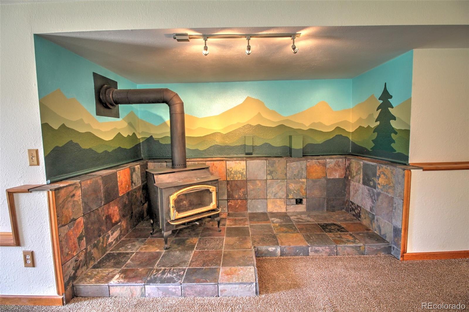 MLS Image #25 for 850  hangmans road,bailey, Colorado