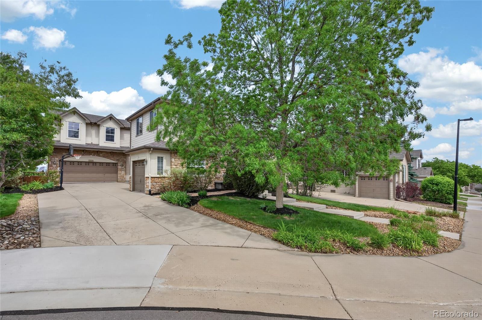 MLS Image #3 for 2695  paw print way,castle rock, Colorado