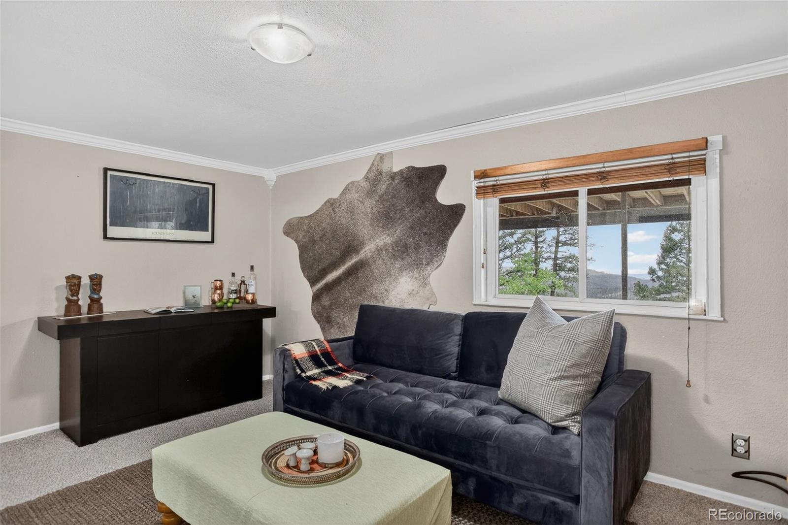 MLS Image #18 for 31307  kings valley w ,conifer, Colorado