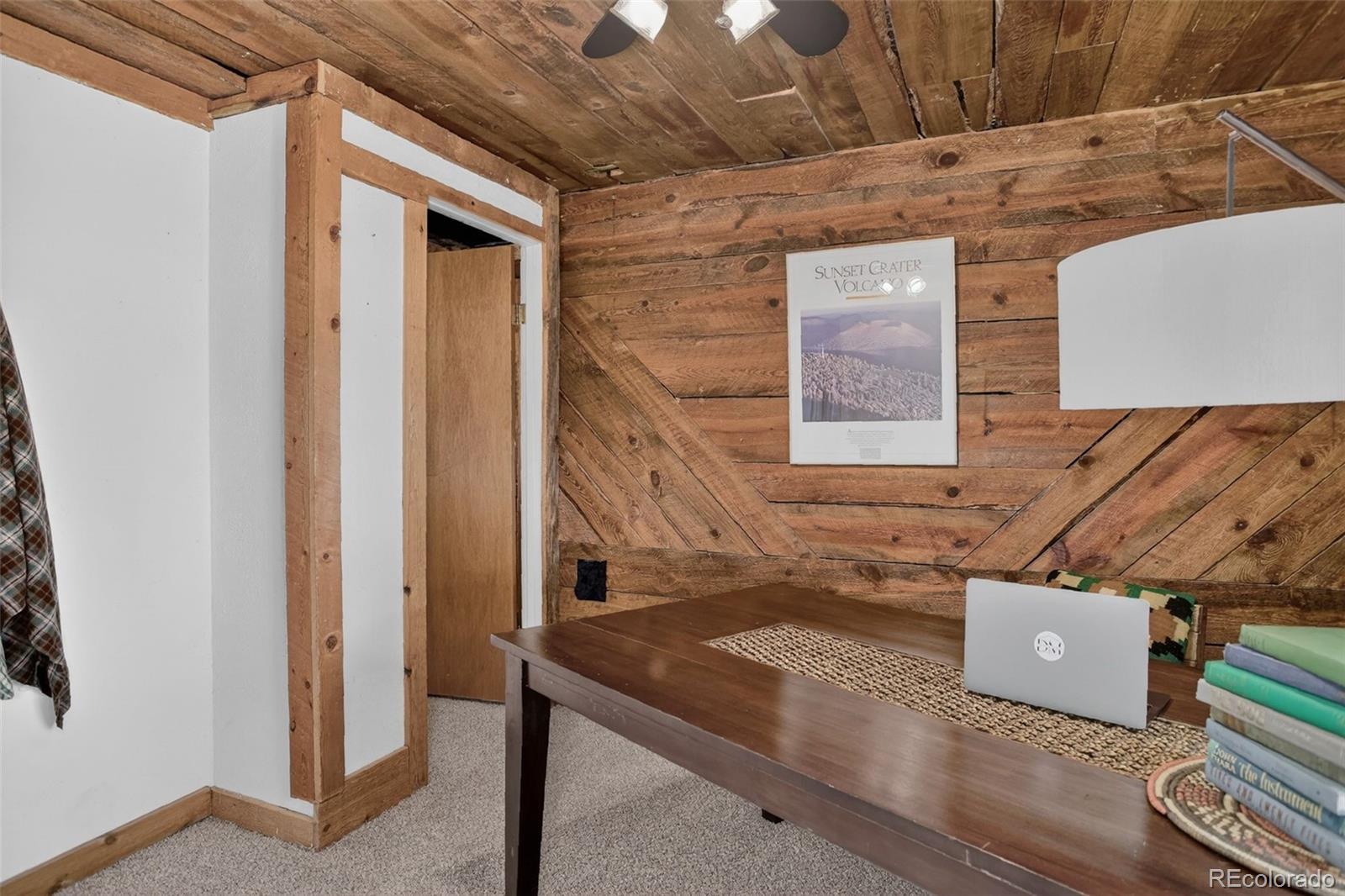 MLS Image #22 for 31307  kings valley w ,conifer, Colorado