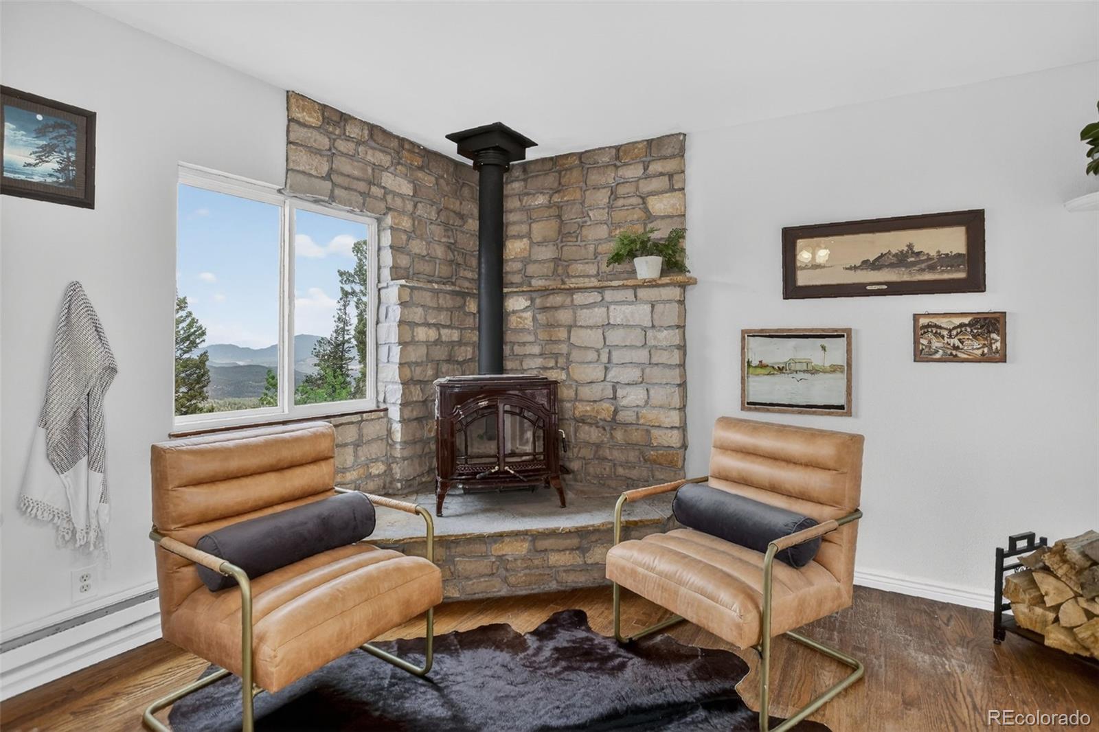 MLS Image #31 for 31307  kings valley w ,conifer, Colorado