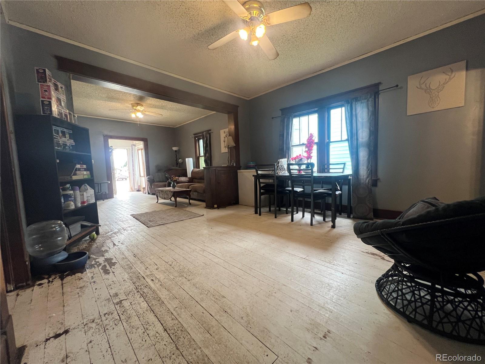 MLS Image #5 for 325  pine street,arriba, Colorado