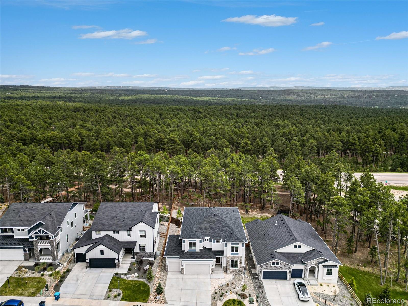 MLS Image #1 for 16325  treetop glory court,monument, Colorado