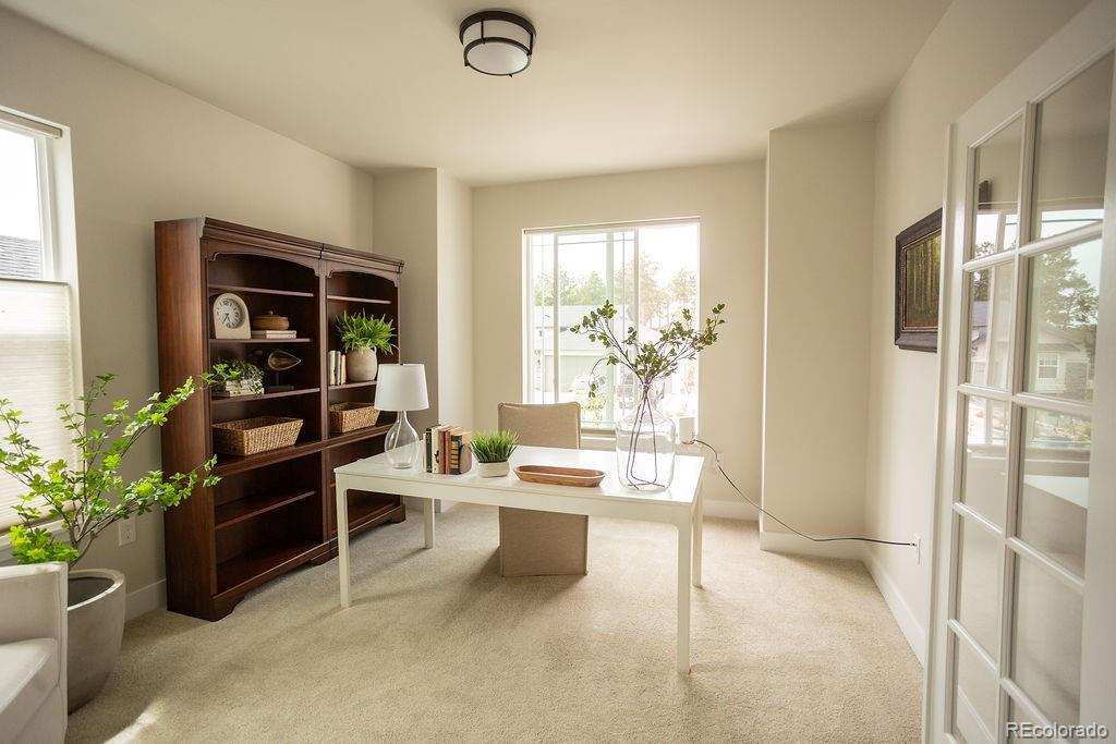 MLS Image #16 for 16325  treetop glory court,monument, Colorado
