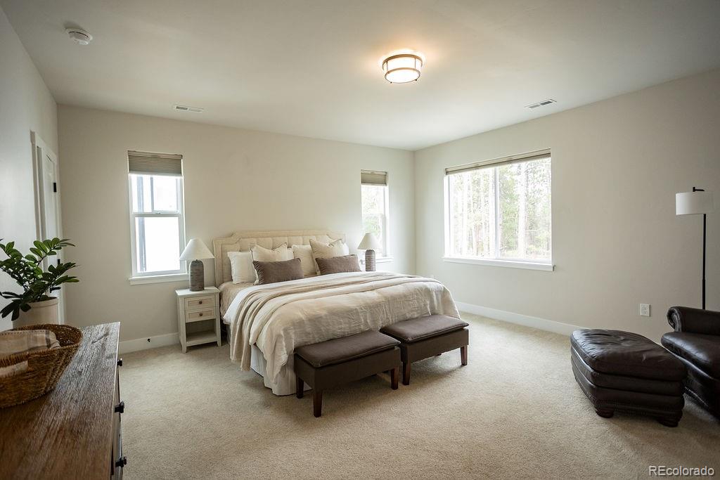 MLS Image #17 for 16325  treetop glory court,monument, Colorado