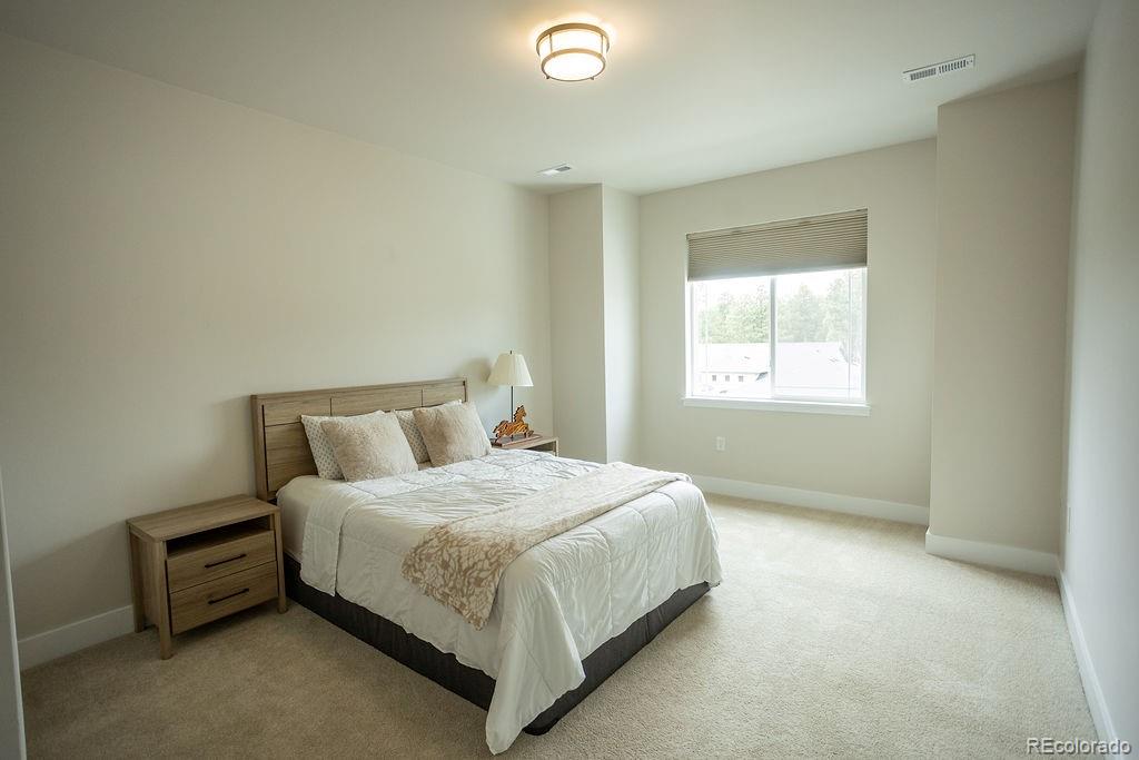 MLS Image #23 for 16325  treetop glory court,monument, Colorado
