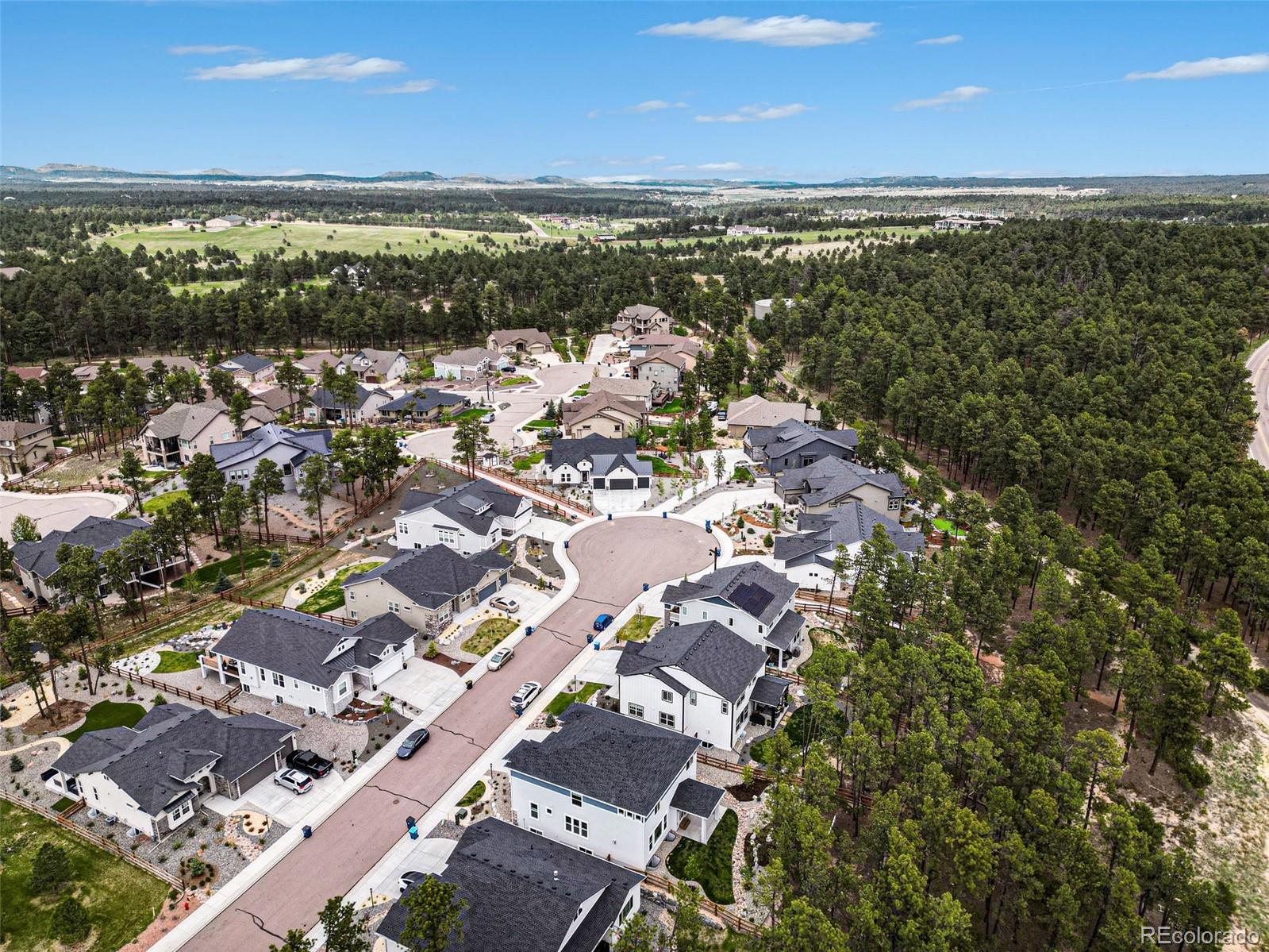MLS Image #3 for 16325  treetop glory court,monument, Colorado