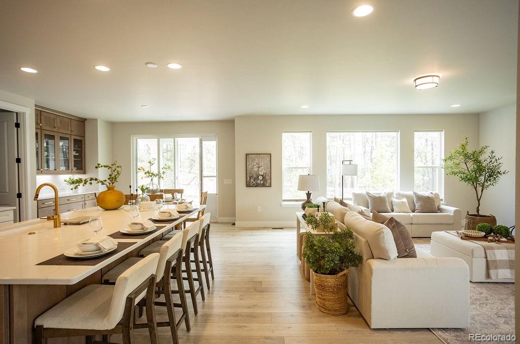 MLS Image #4 for 16325  treetop glory court,monument, Colorado