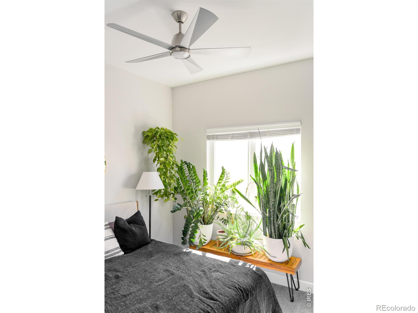 MLS Image #21 for 1250  quitman street,denver, Colorado