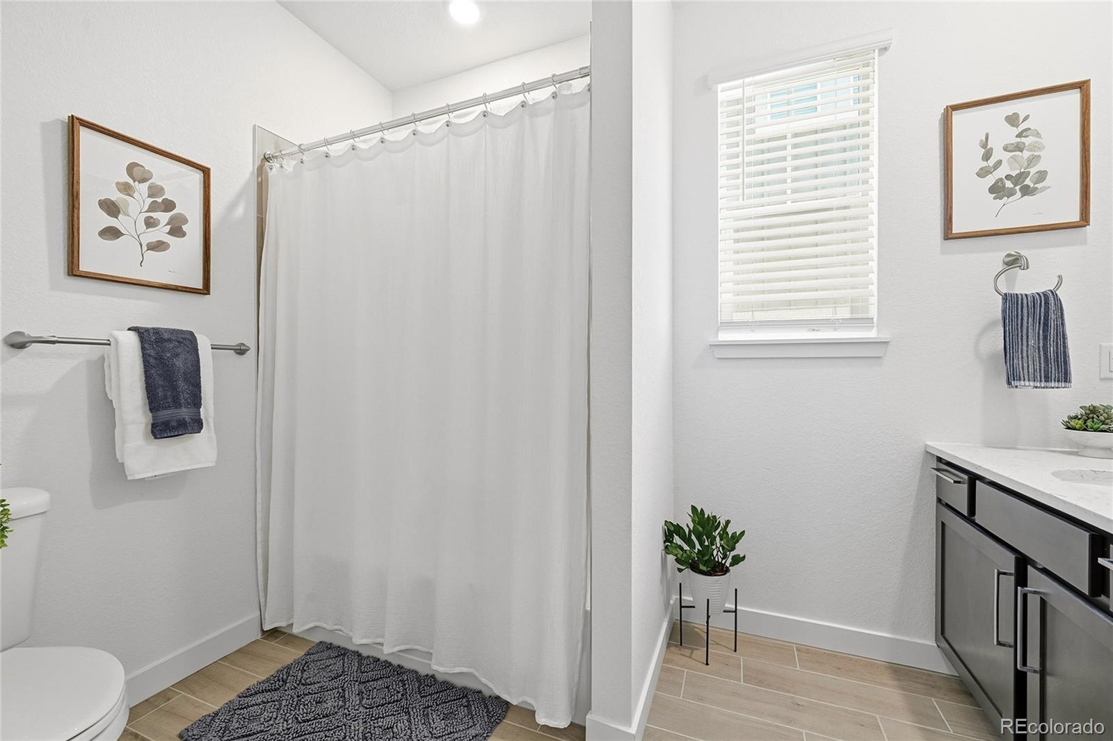MLS Image #10 for 3799  doubletrack lane,castle rock, Colorado