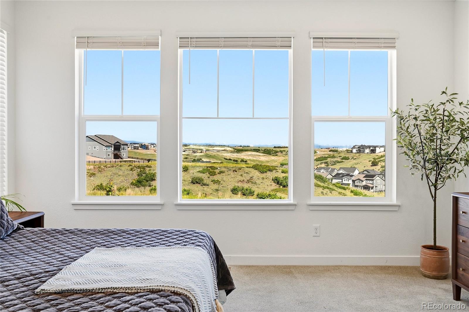 MLS Image #25 for 3799  doubletrack lane,castle rock, Colorado