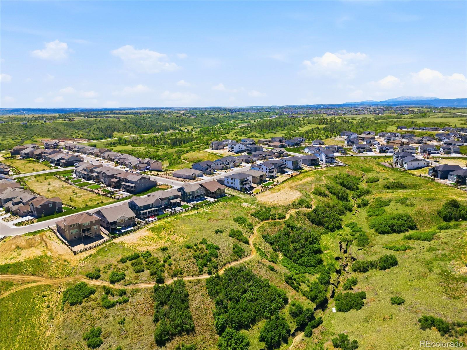 MLS Image #5 for 3799  doubletrack lane,castle rock, Colorado
