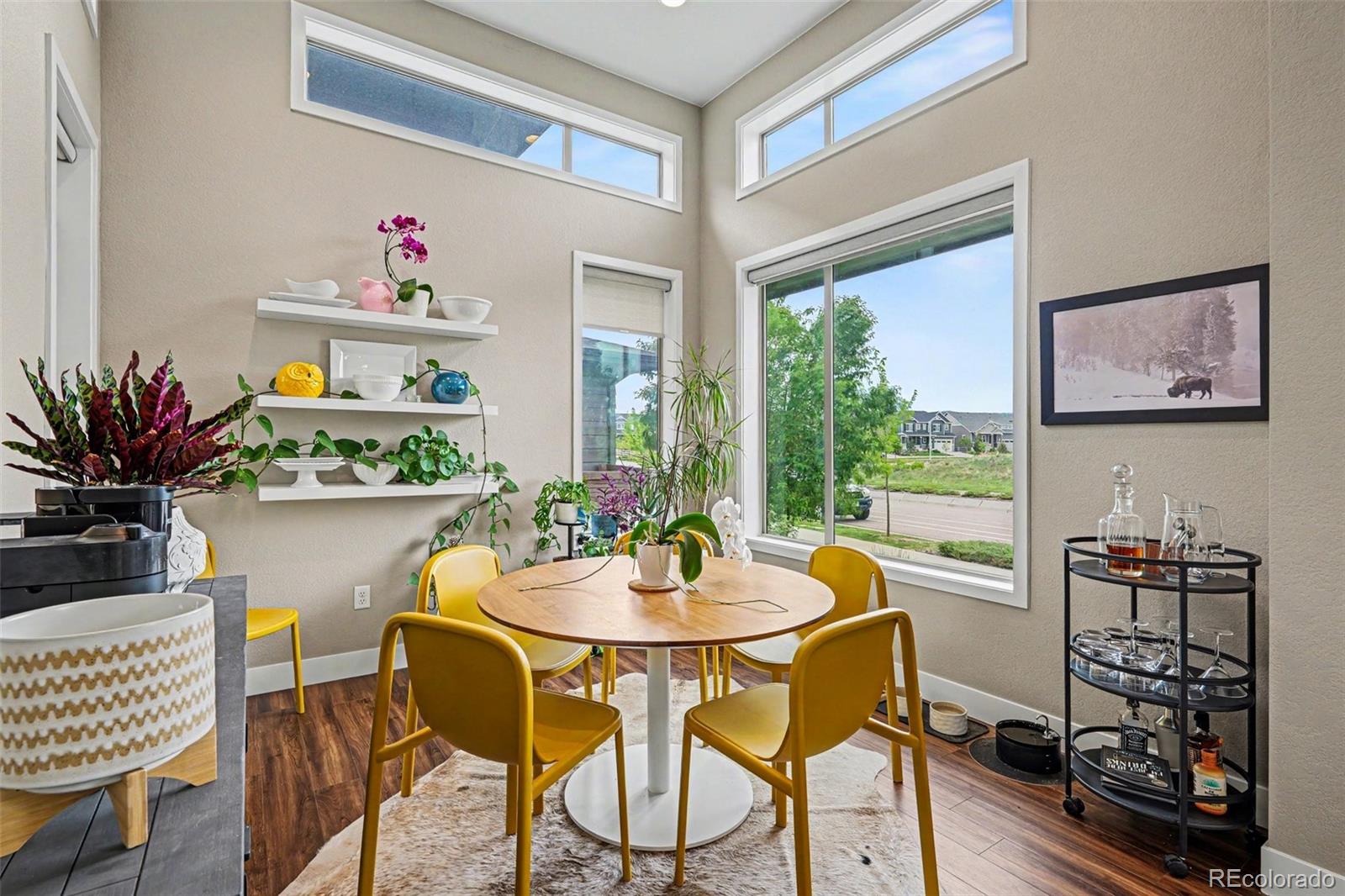 MLS Image #8 for 9586  middle fork street,littleton, Colorado