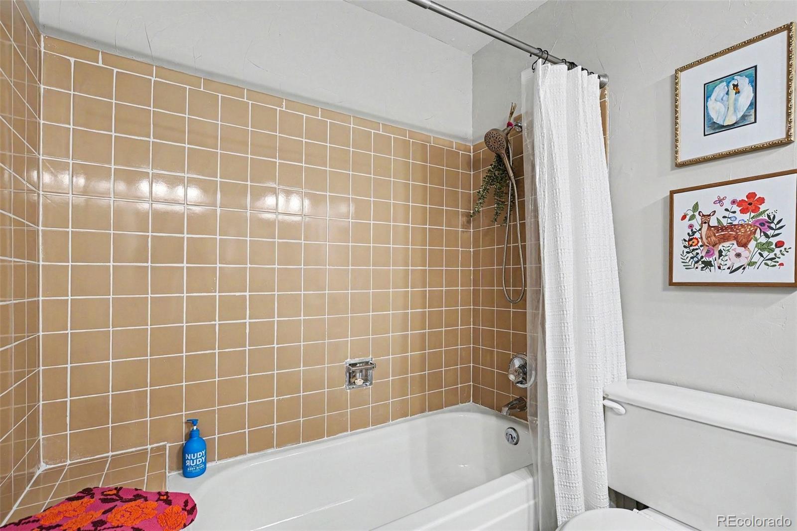 MLS Image #14 for 7506  beech court,arvada, Colorado