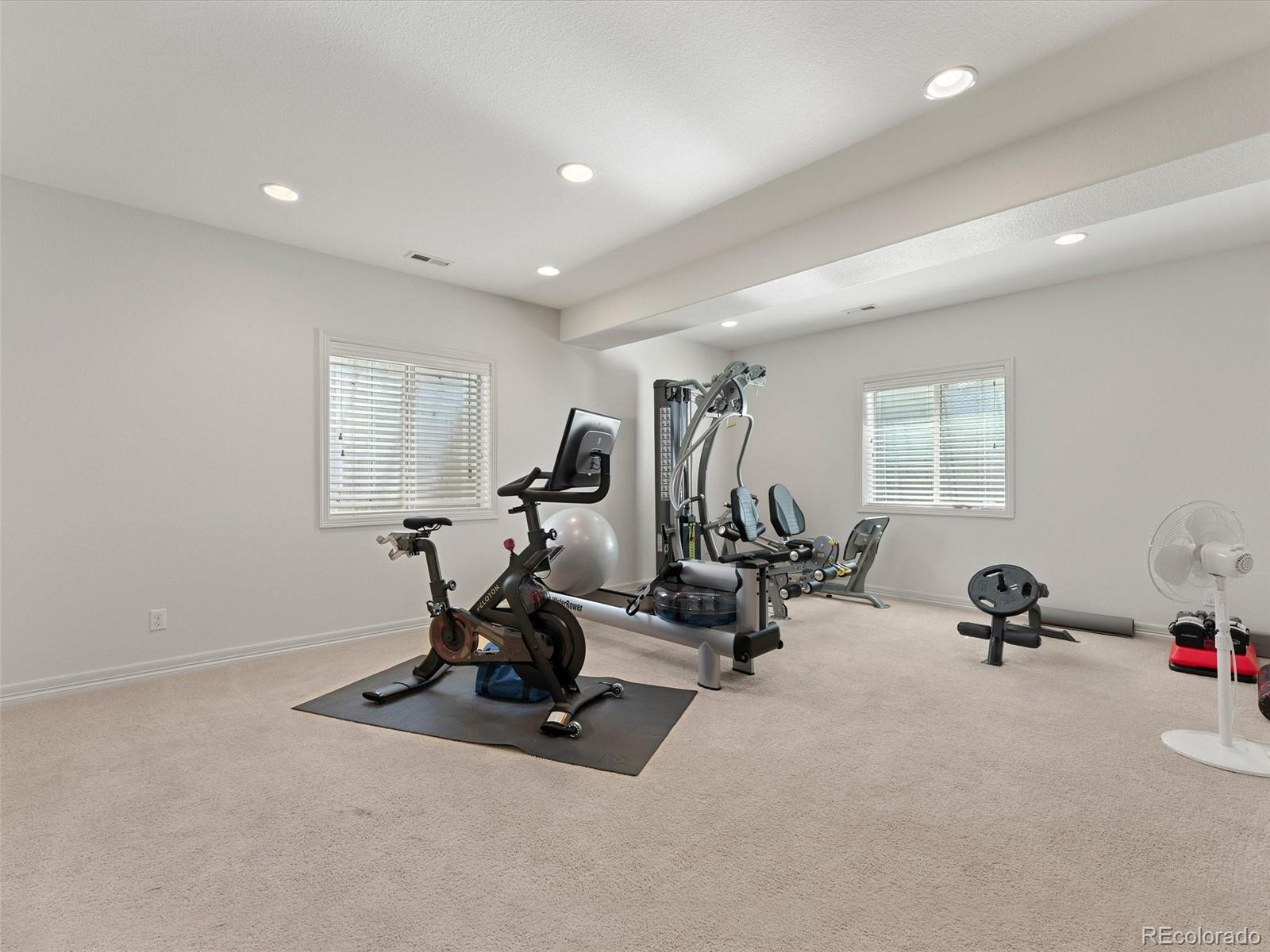 MLS Image #21 for 312  basilwood way,highlands ranch, Colorado