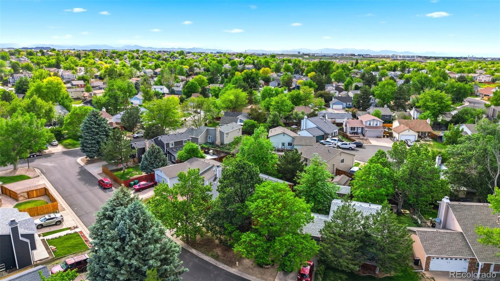 MLS Image #31 for 8477  prairie clover way,parker, Colorado