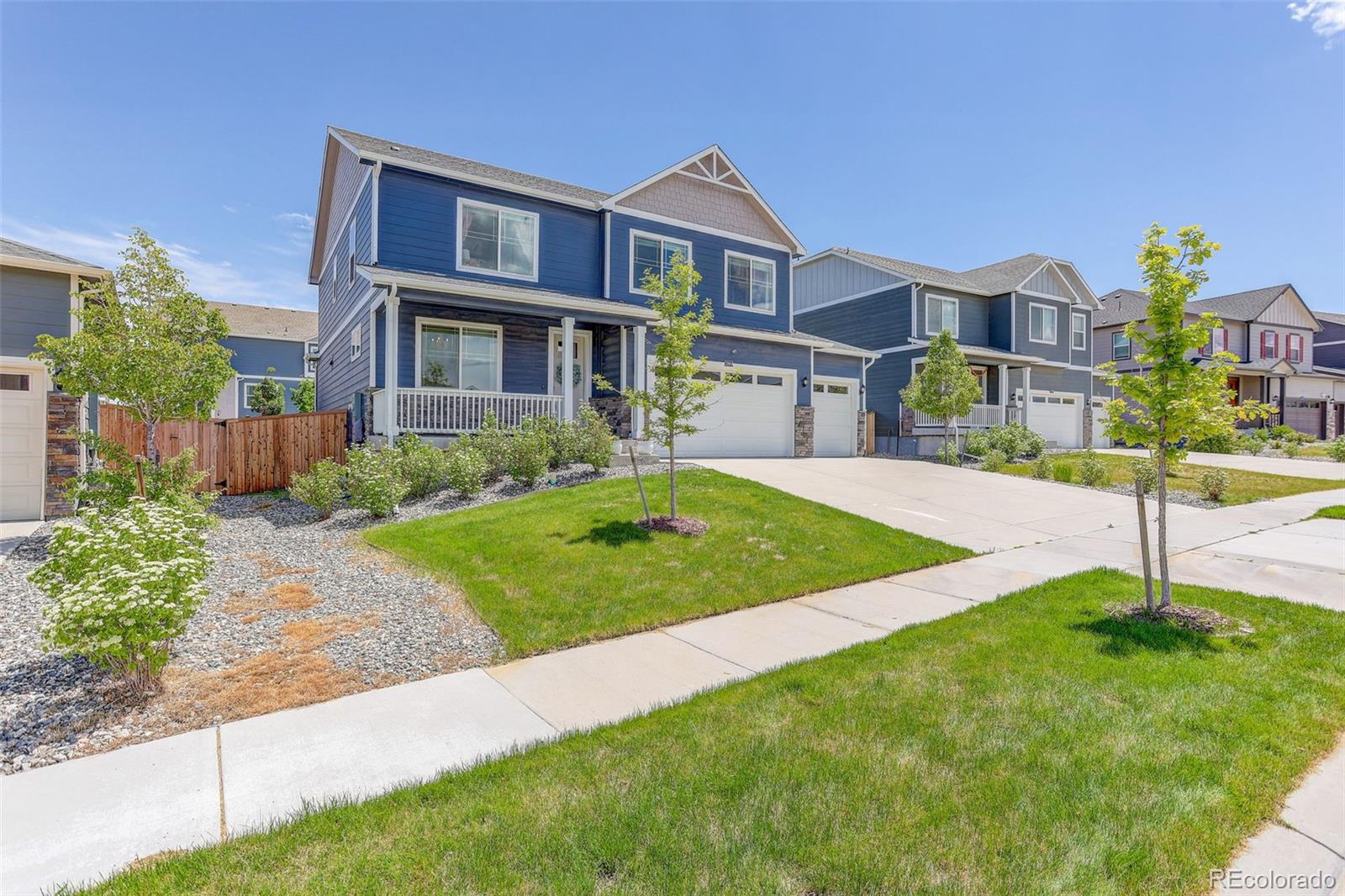 MLS Image #2 for 13984  scarlet sage street,parker, Colorado