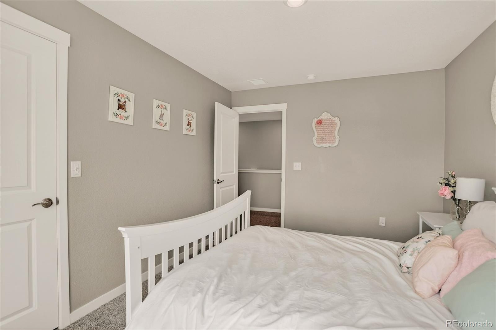 MLS Image #27 for 13984  scarlet sage street,parker, Colorado