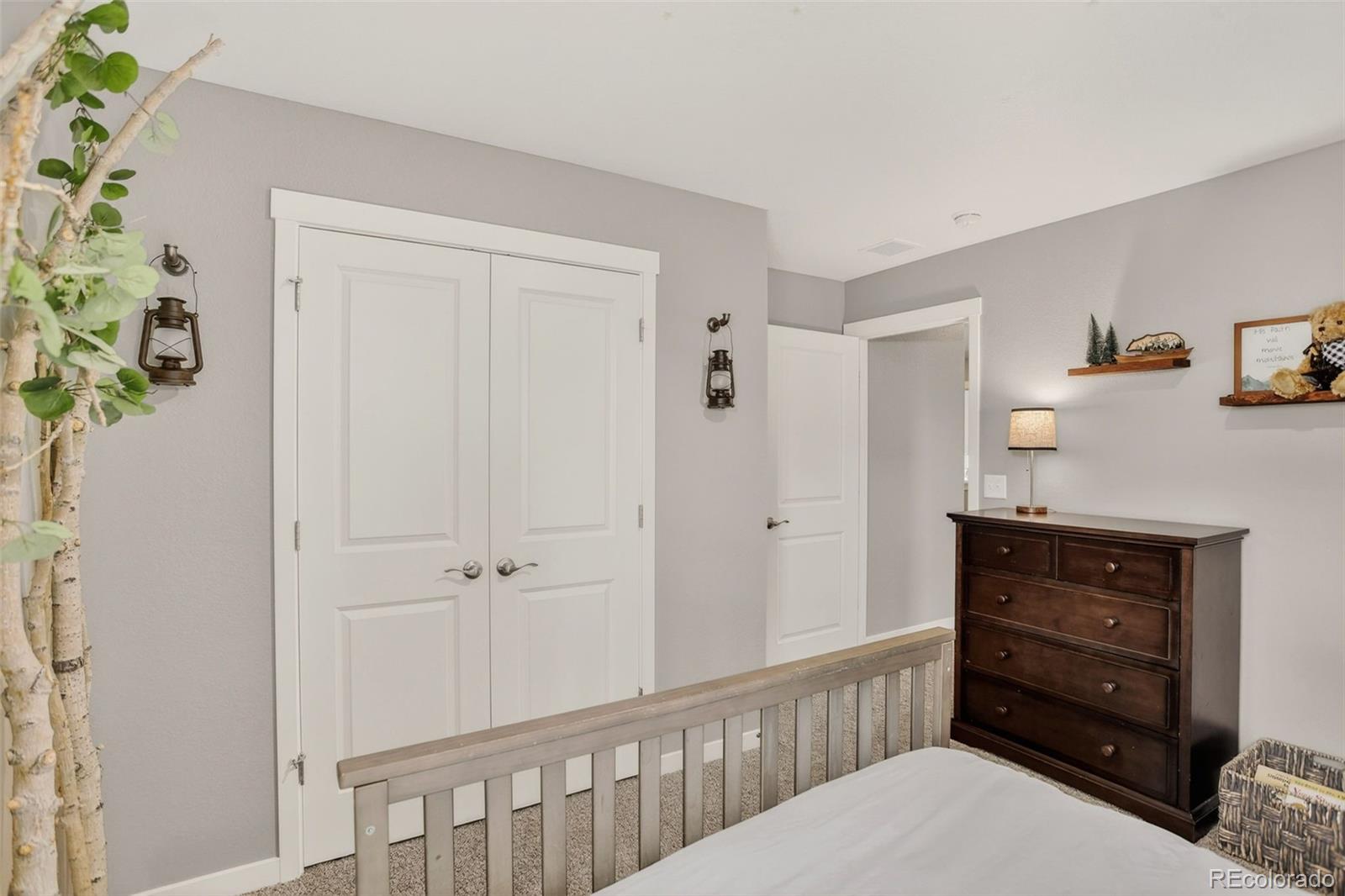 MLS Image #33 for 13984  scarlet sage street,parker, Colorado