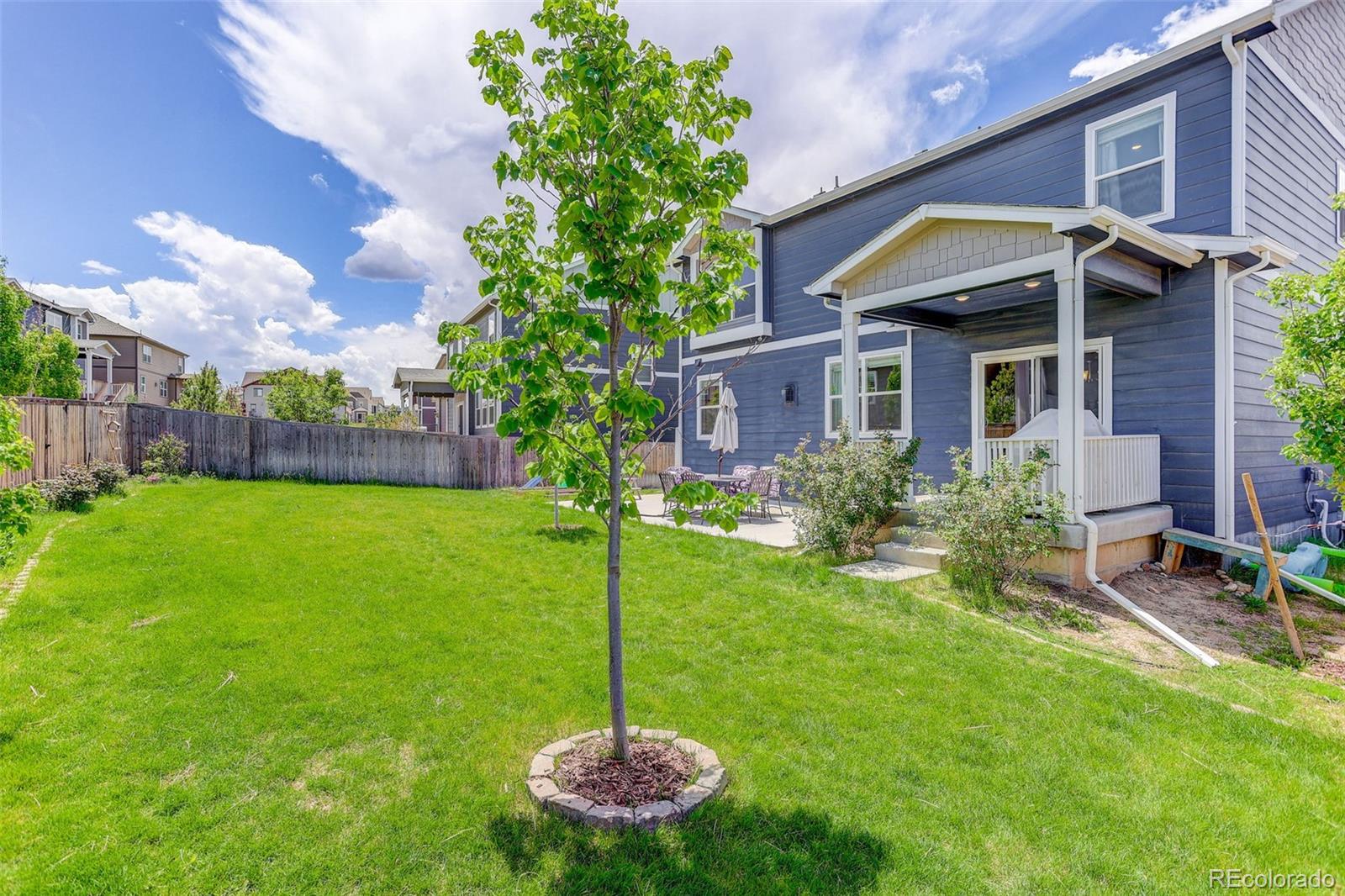 MLS Image #44 for 13984  scarlet sage street,parker, Colorado