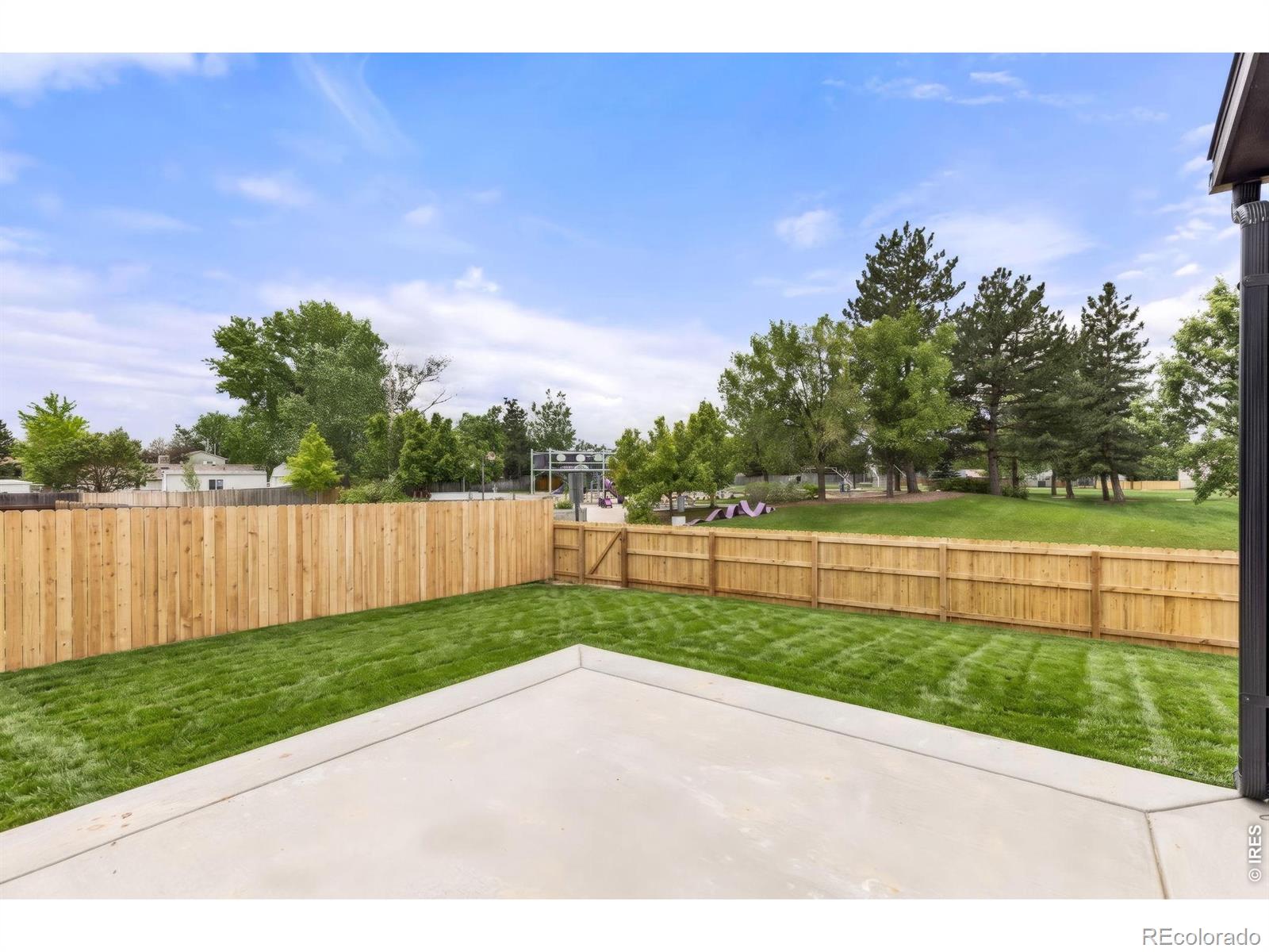 MLS Image #31 for 10702  moore way,broomfield, Colorado