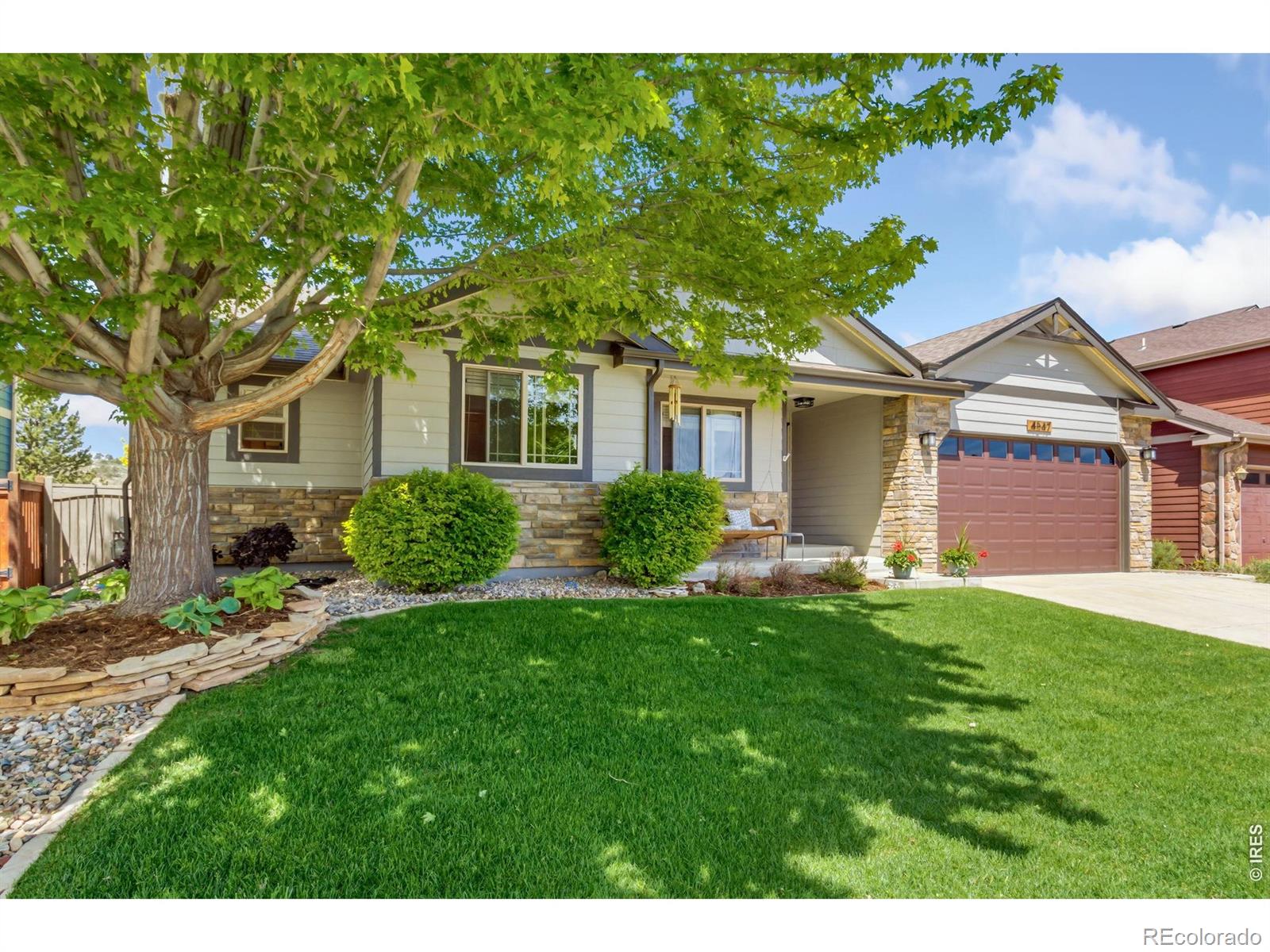 MLS Image #1 for 4547  stump avenue,loveland, Colorado