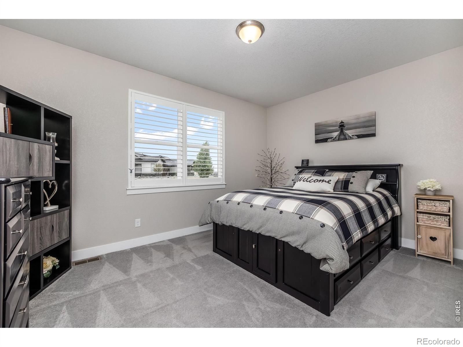 MLS Image #28 for 3789  bridle ridge circle,severance, Colorado