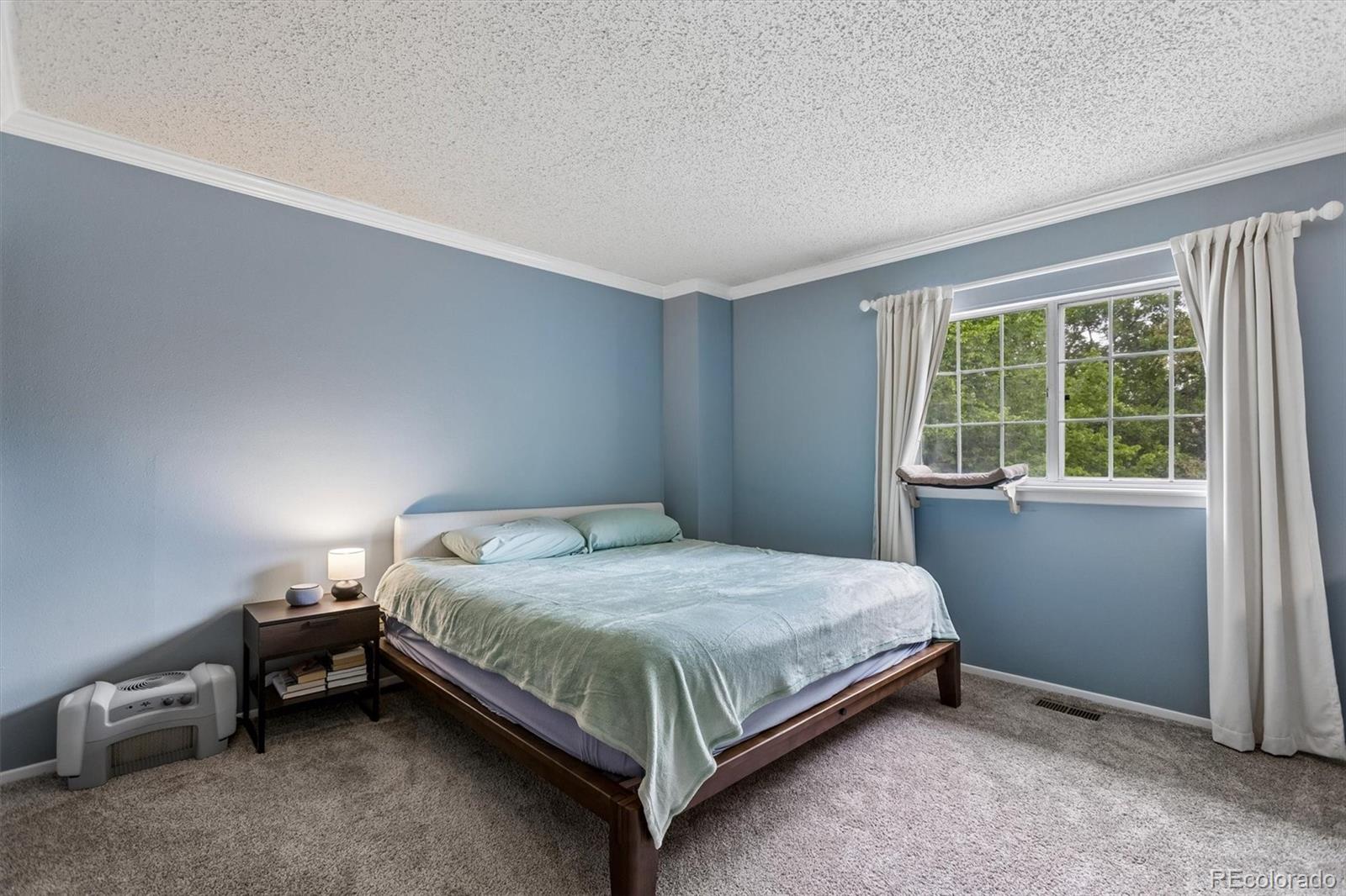 MLS Image #8 for 1077  artemis circle,lafayette, Colorado