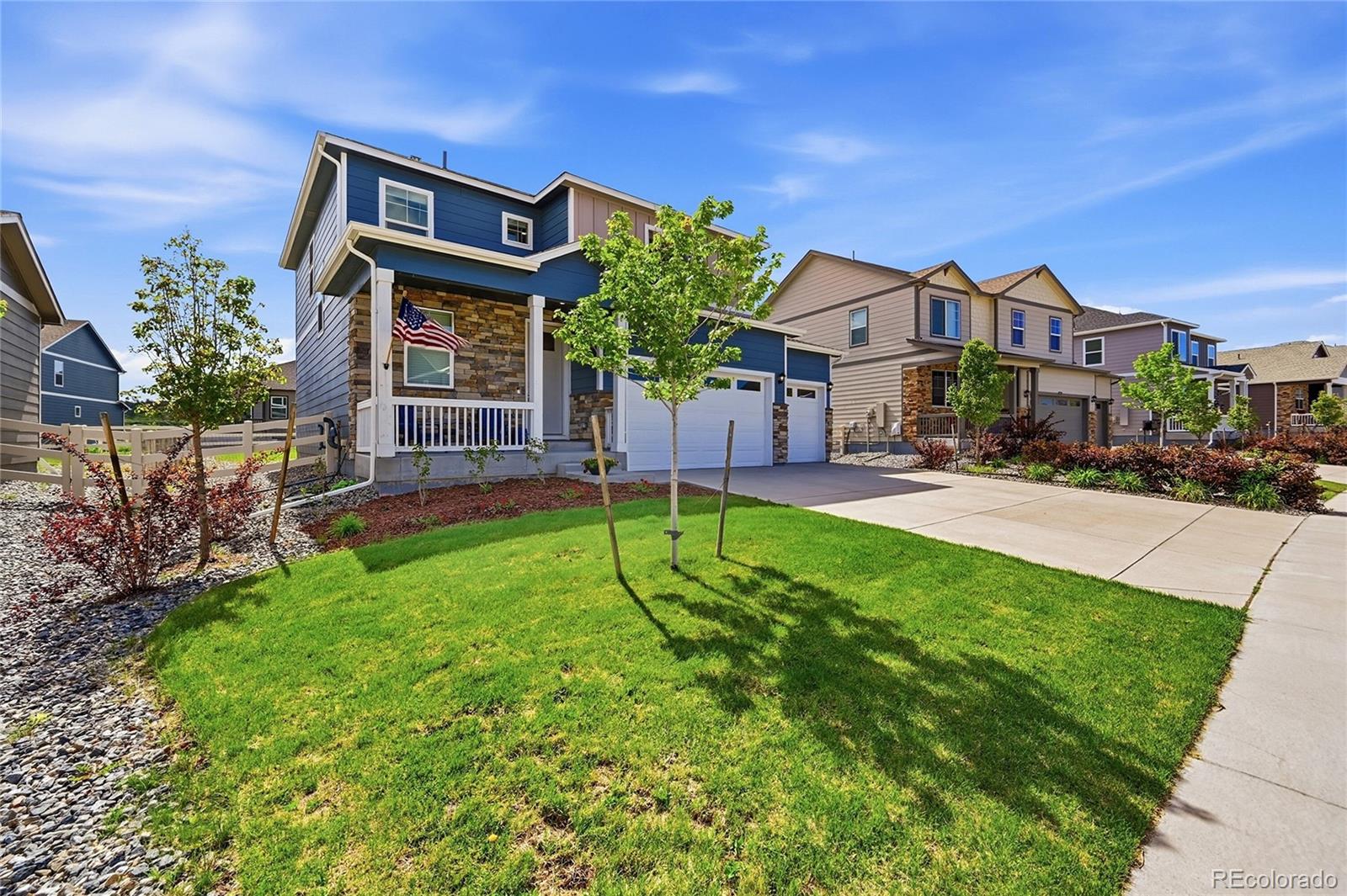 MLS Image #6 for 4828  cattle cross road,castle rock, Colorado
