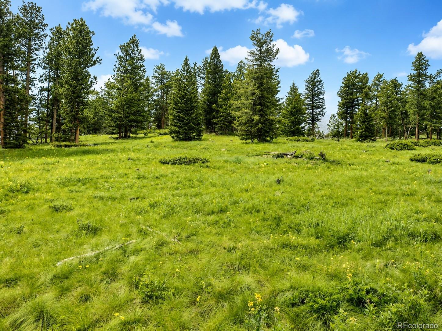 MLS Image #21 for 1001  county road 86 ,red feather lakes, Colorado