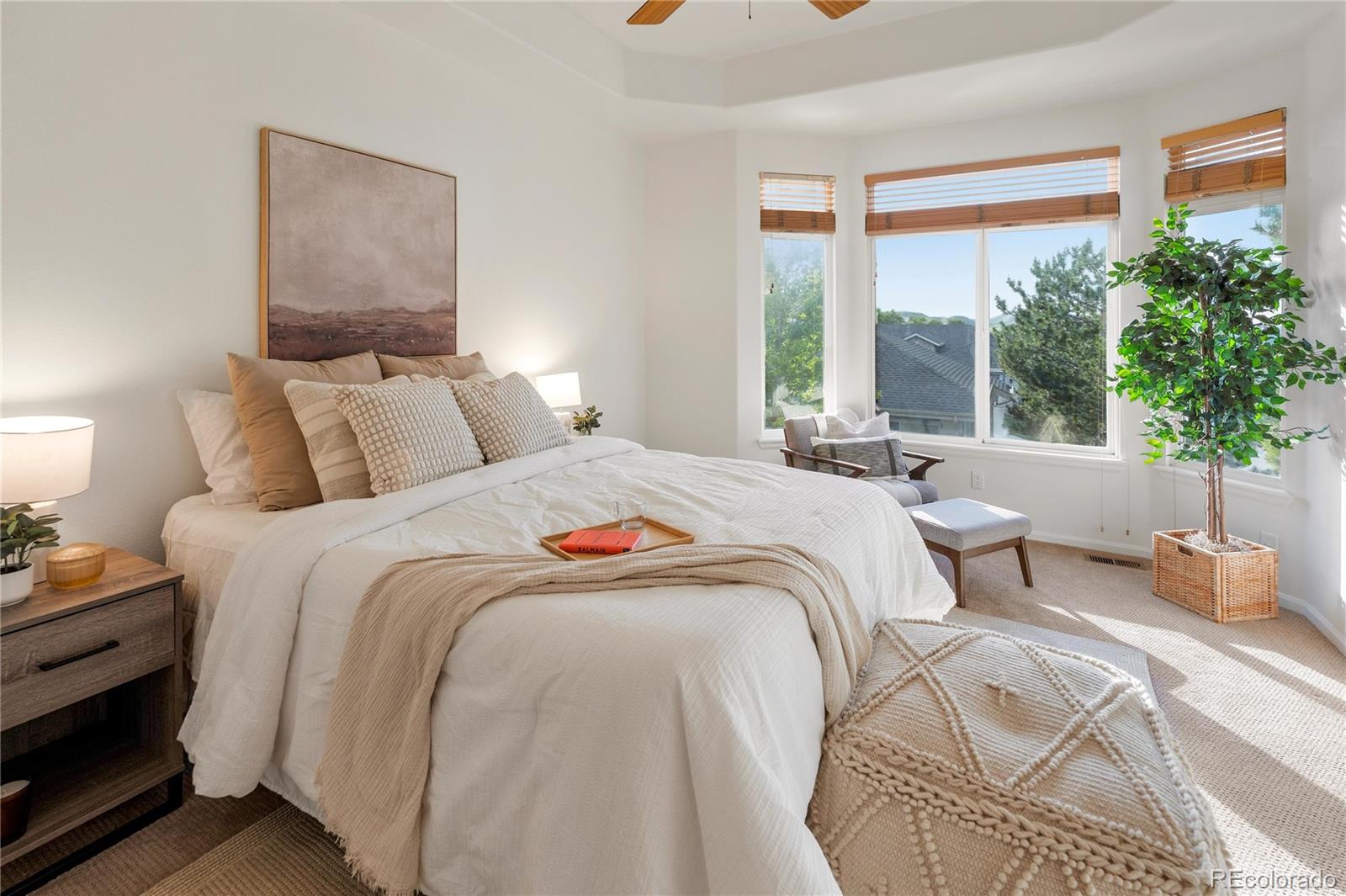 MLS Image #3 for 519  stafford circle,castle rock, Colorado